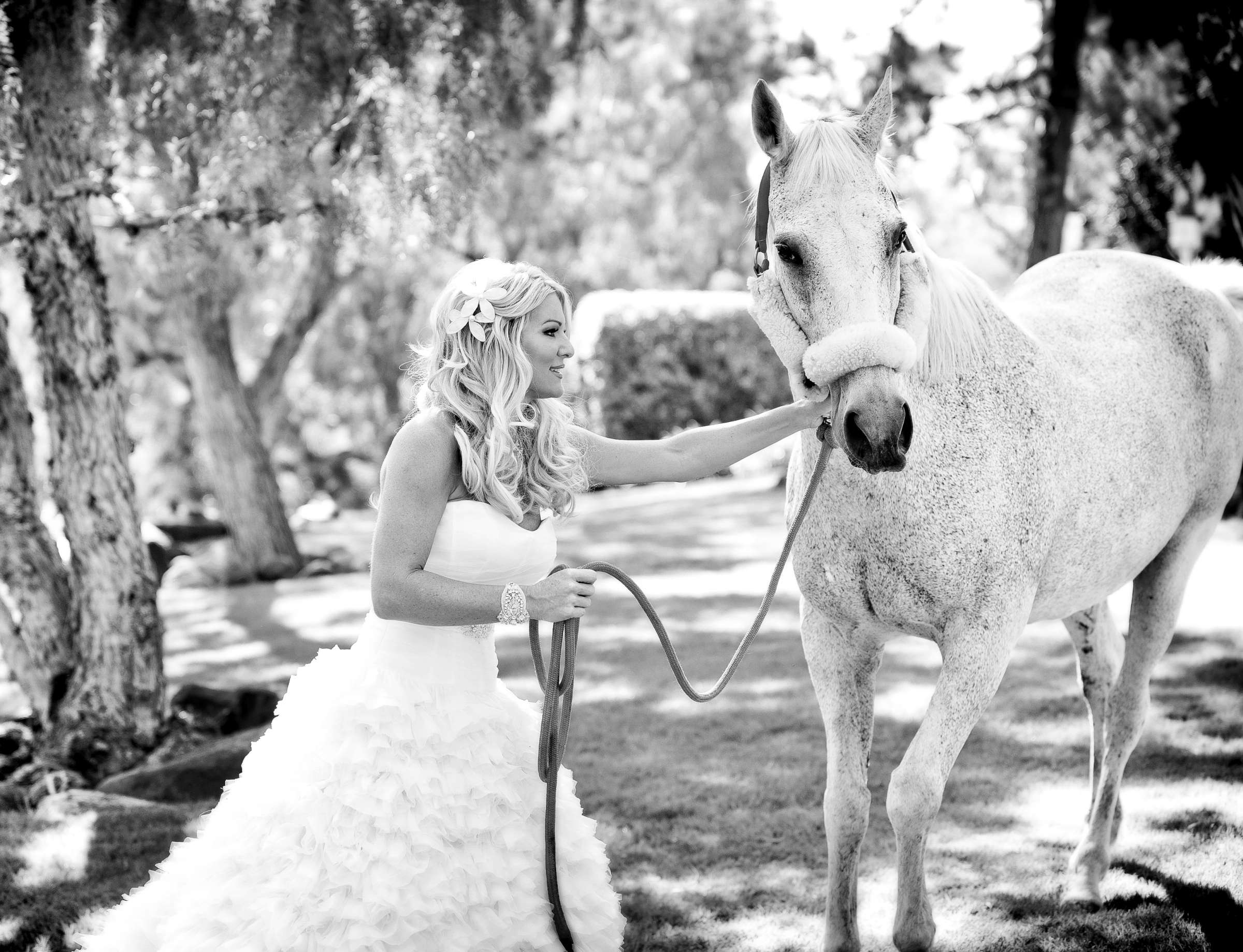 Wedding coordinated by Crown Weddings, Adrienne and Dale Wedding Photo #199293 by True Photography