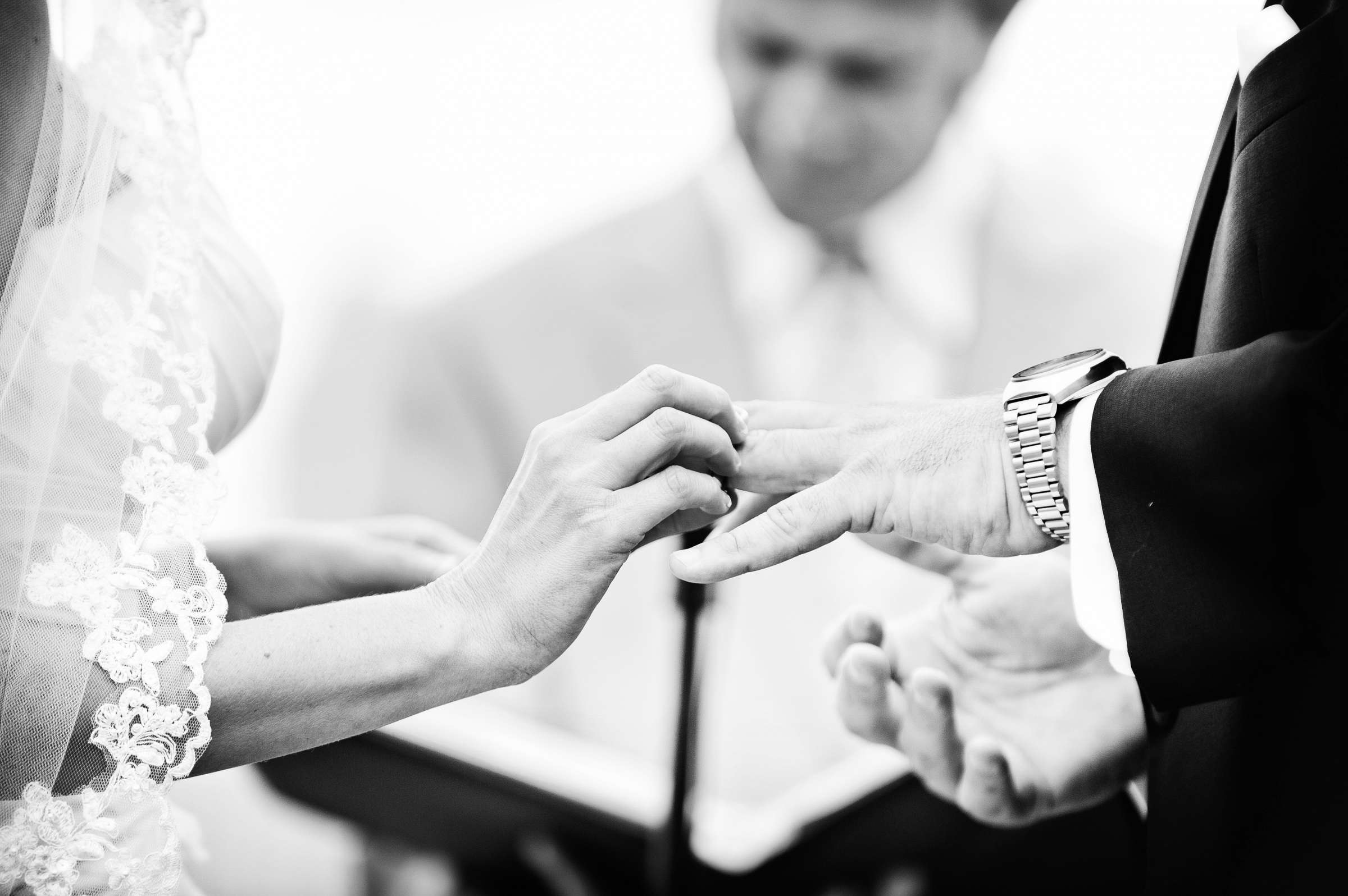 The Ultimate Skybox Wedding, Laura and Cody Wedding Photo #199847 by True Photography