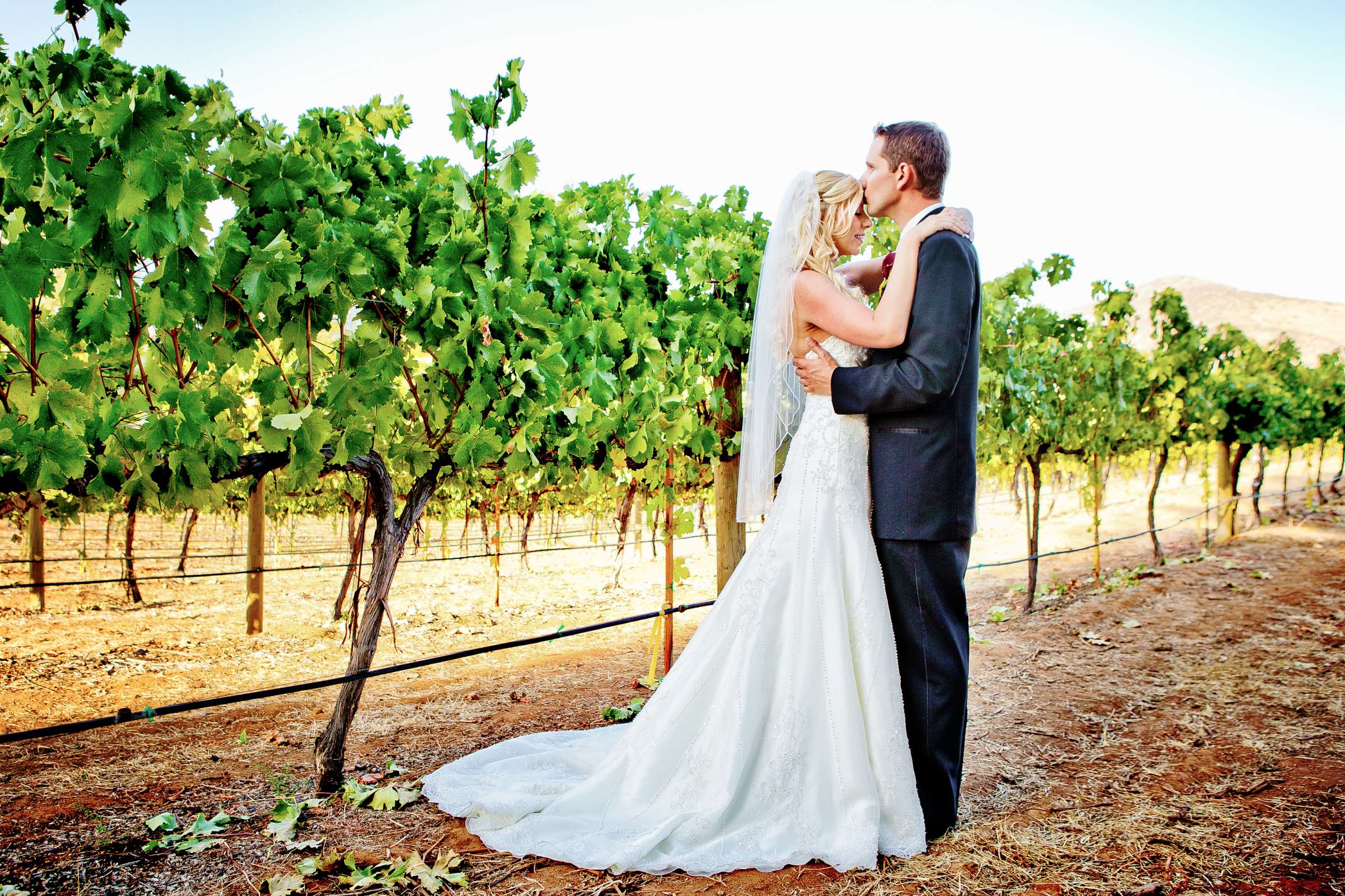 Orfila Vineyards Wedding, Kim and Austin Wedding Photo #199946 by True Photography