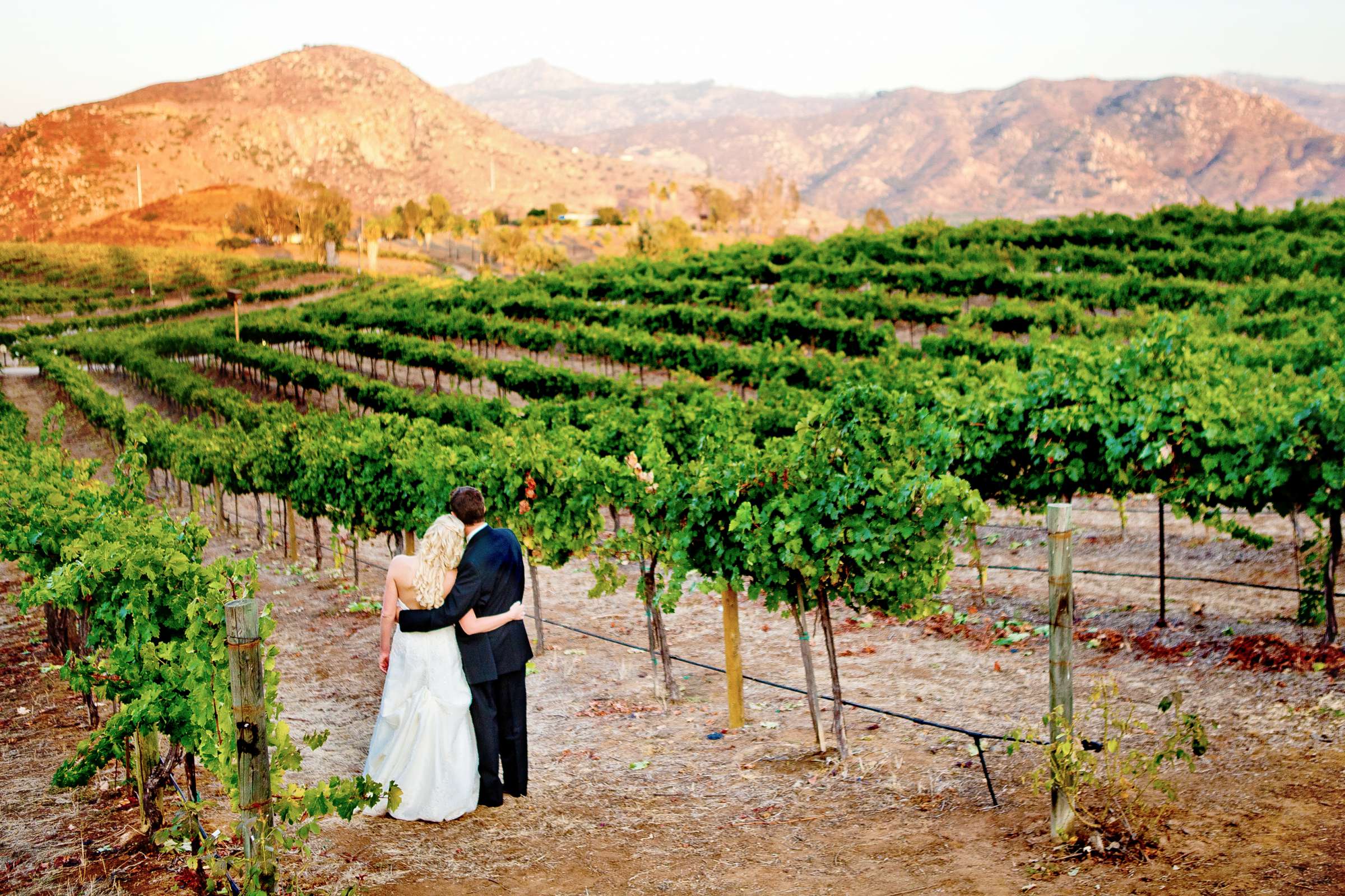 Orfila Vineyards Wedding, Kim and Austin Wedding Photo #199955 by True Photography