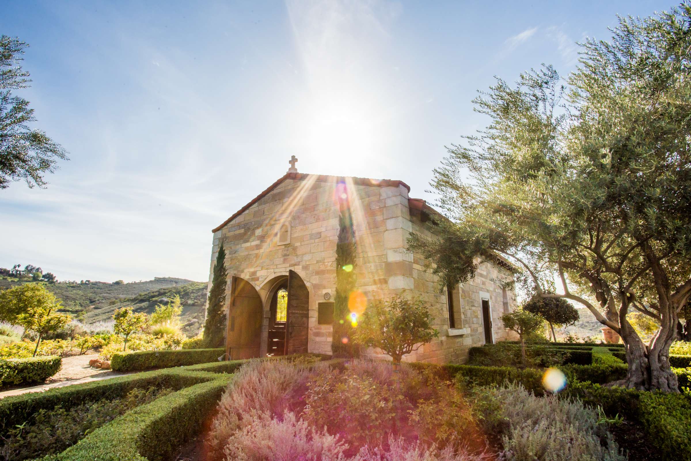 Vista Valley Country Club Wedding coordinated by Details Defined, Summer Fun in February Wedding Photo #201972 by True Photography