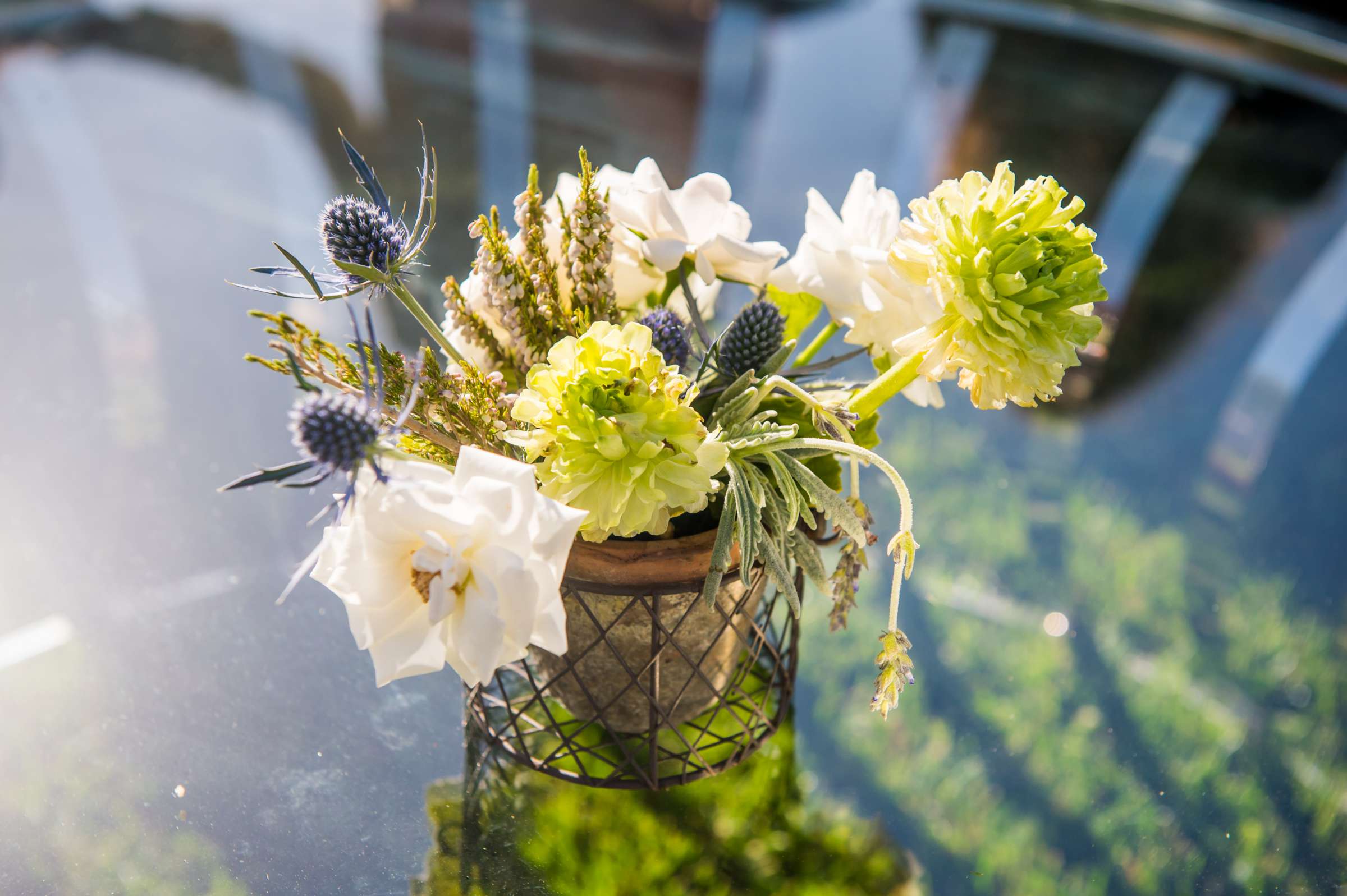 Vista Valley Country Club Wedding coordinated by Details Defined, Summer Fun in February Wedding Photo #201988 by True Photography