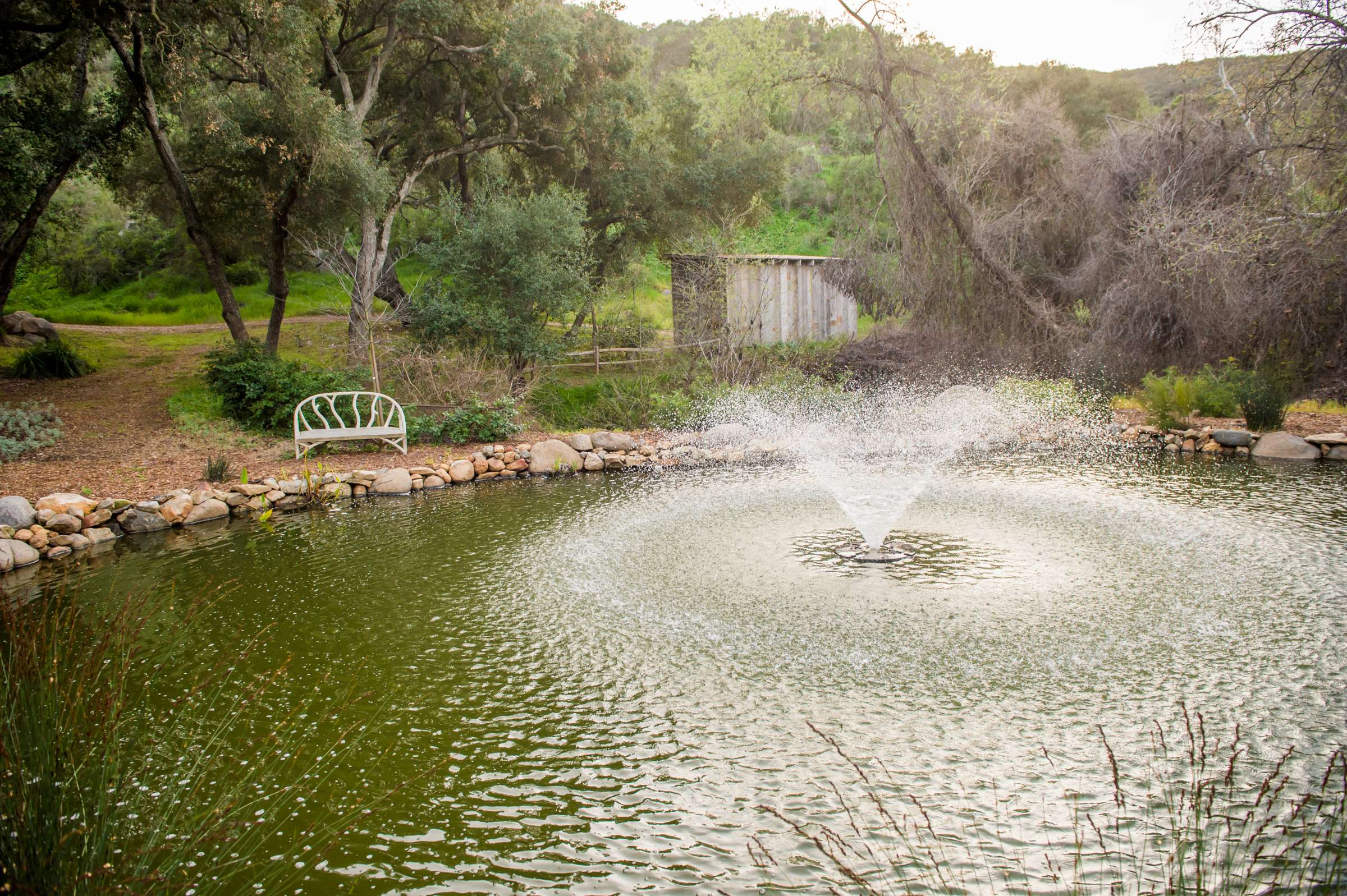 Vista Valley Country Club Wedding coordinated by Details Defined, Summer Fun in February Wedding Photo #202136 by True Photography