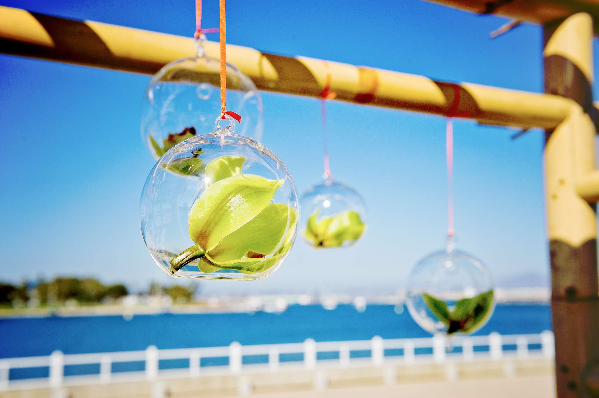 Coronado Community Center Wedding coordinated by The Best Wedding For You, Jenna and Robbie Wedding Photo #202438 by True Photography