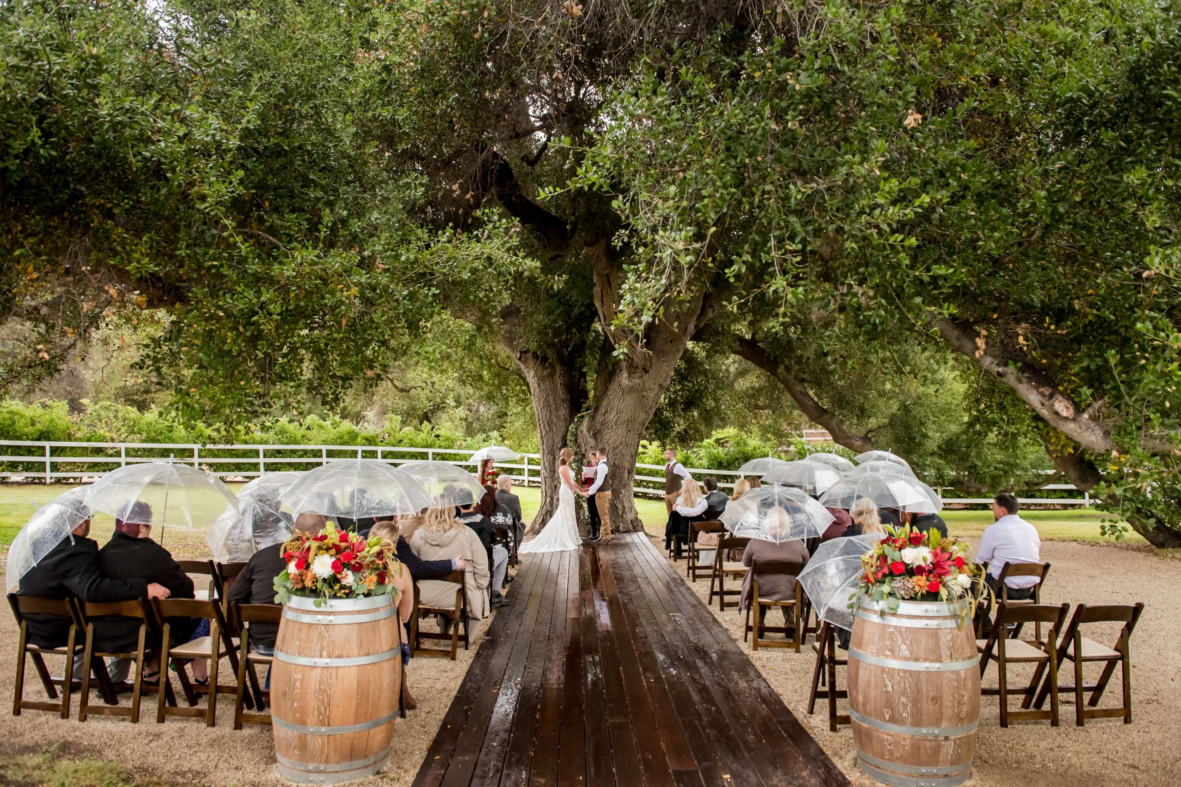 Circle Oak Ranch Weddings Wedding, Chelsea and Evan Wedding Photo #91 by True Photography