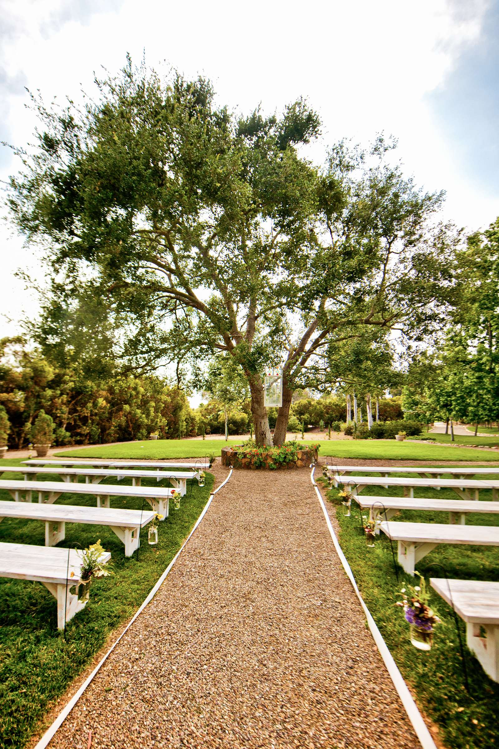 Wedding, Emily and David Wedding Photo #203105 by True Photography