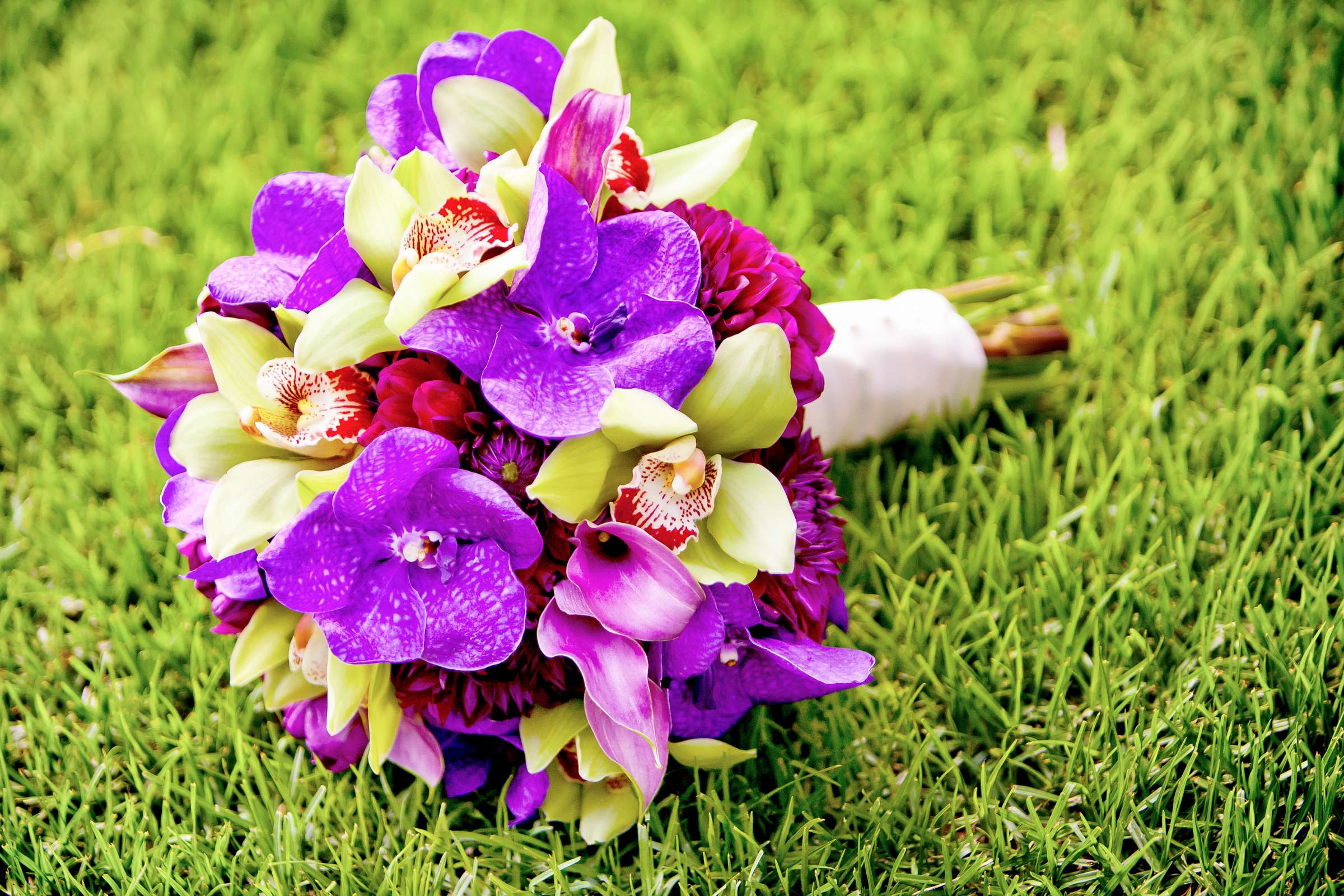 Bahia Hotel Wedding coordinated by SD Weddings by Gina, Kirstie and Pete Wedding Photo #203264 by True Photography