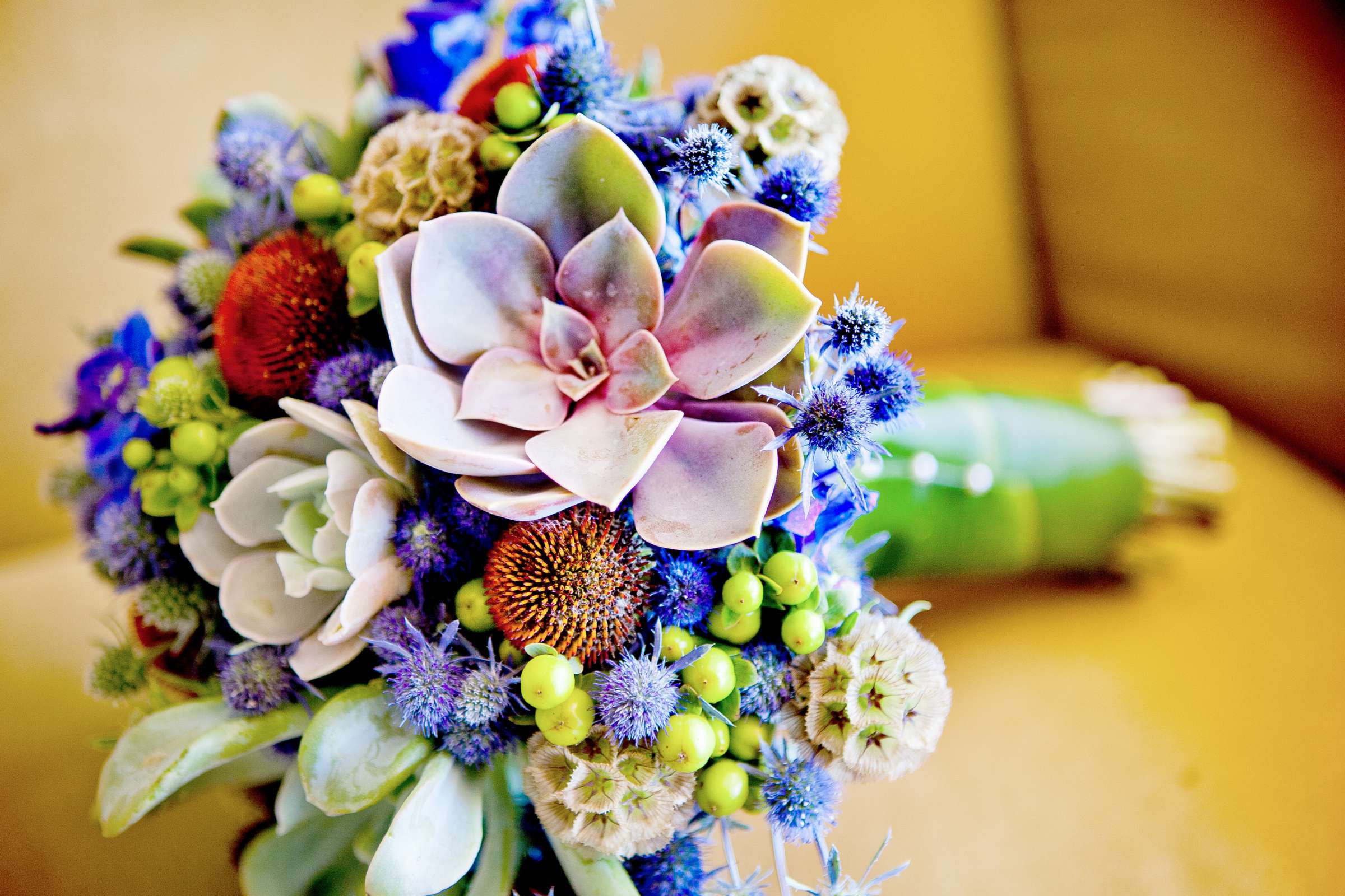 La Jolla Cove Rooftop Wedding coordinated by Green with Envy Events, Carolyn and Antonio Wedding Photo #203711 by True Photography