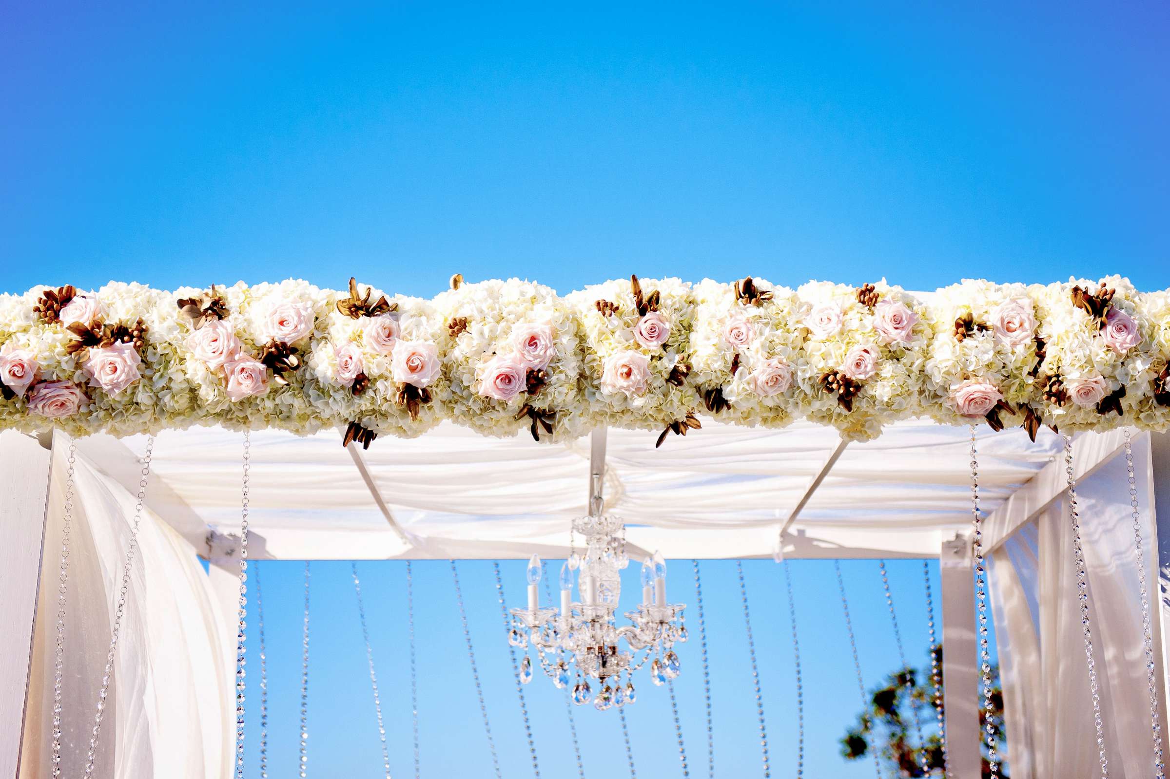 Loews Coronado Bay Resort Wedding coordinated by Luxe Special Events, Jessica and Jared Wedding Photo #204146 by True Photography