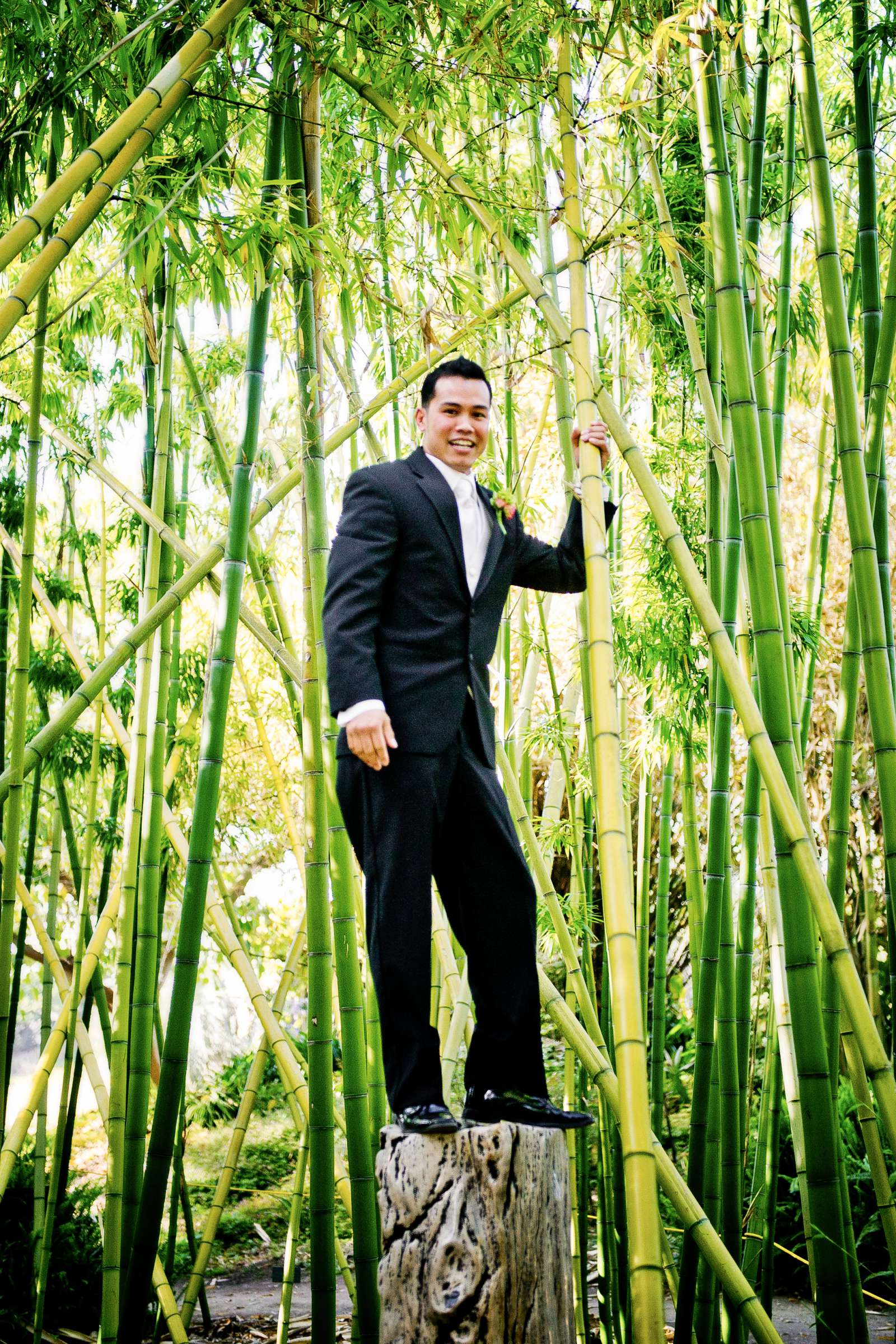 San Diego Botanic Garden Wedding, Jackie and Joe Wedding Photo #205036 by True Photography