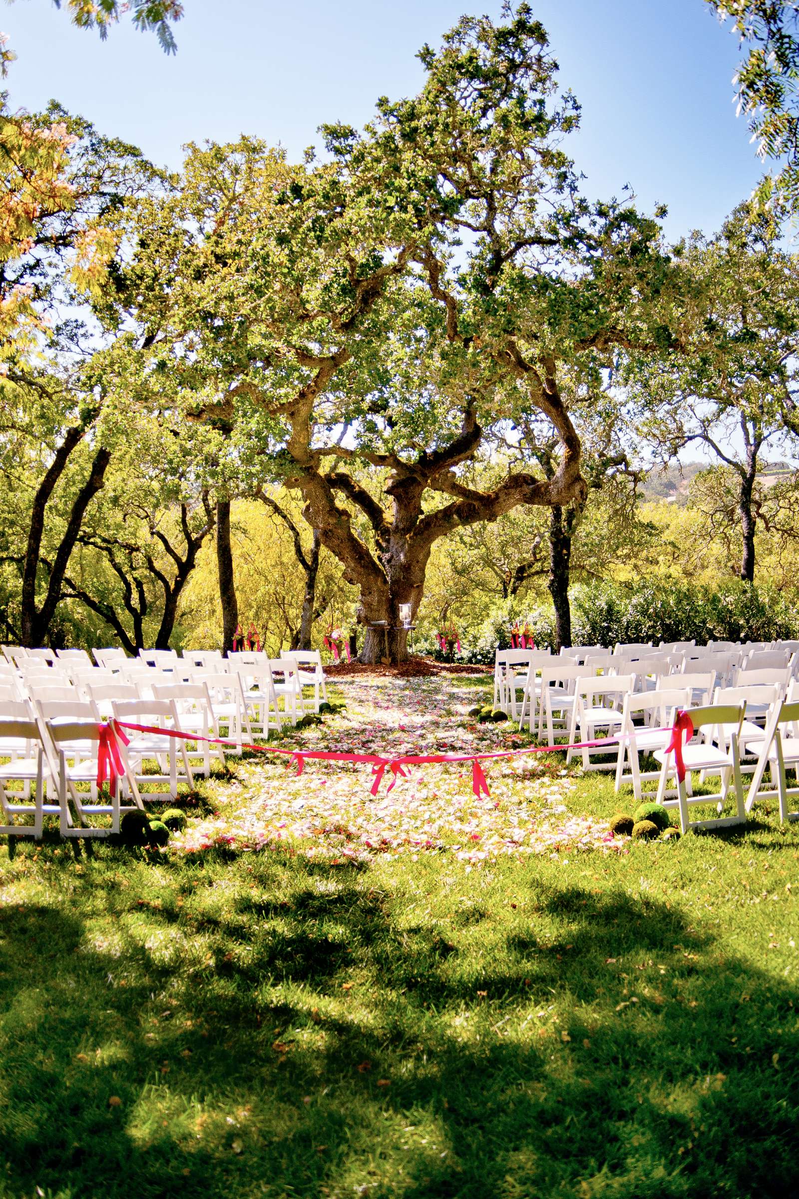 Wedding, Katie and Matt Wedding Photo #206049 by True Photography