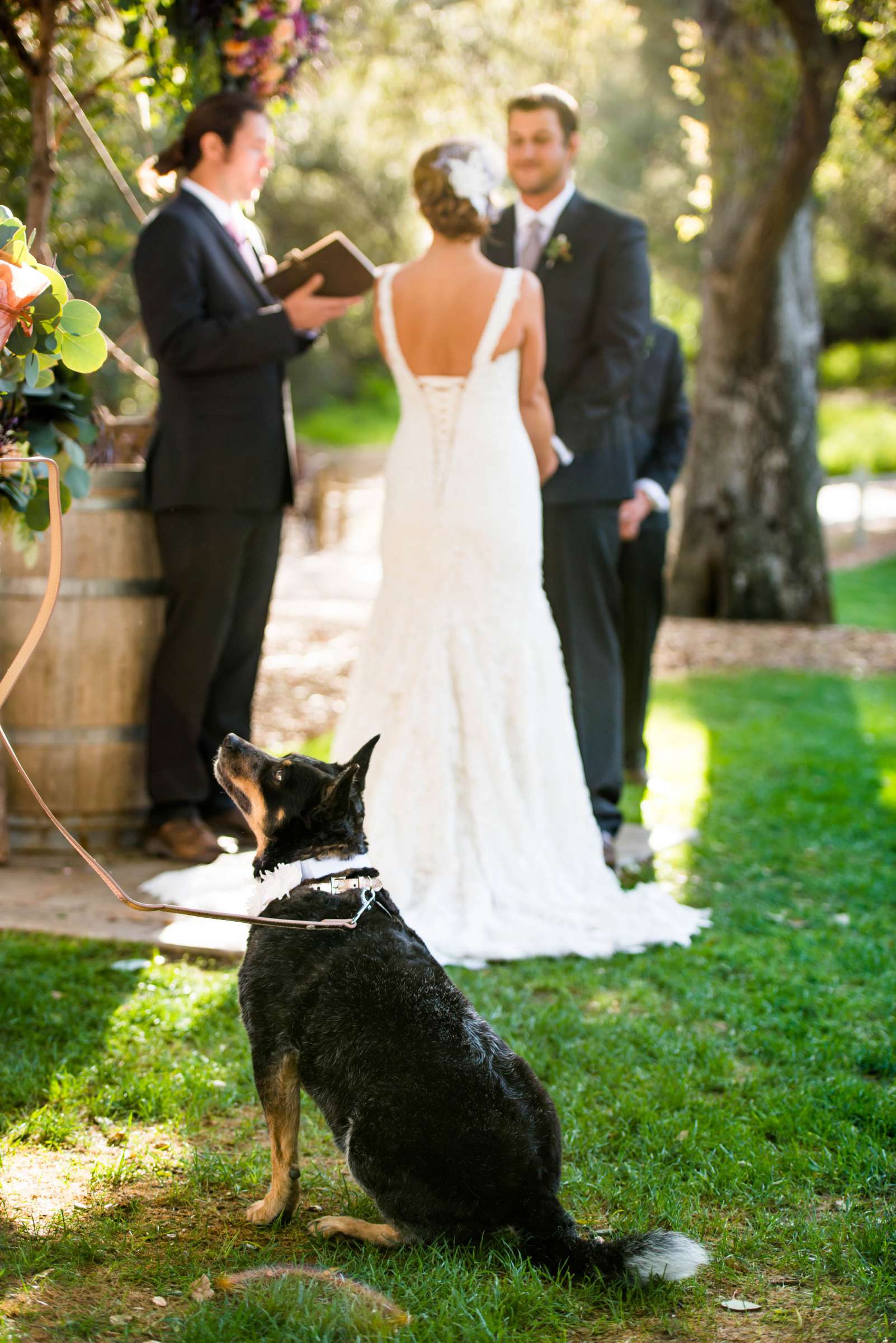 Temecula Creek Inn Wedding, Therese and Joseph Wedding Photo #40 by True Photography