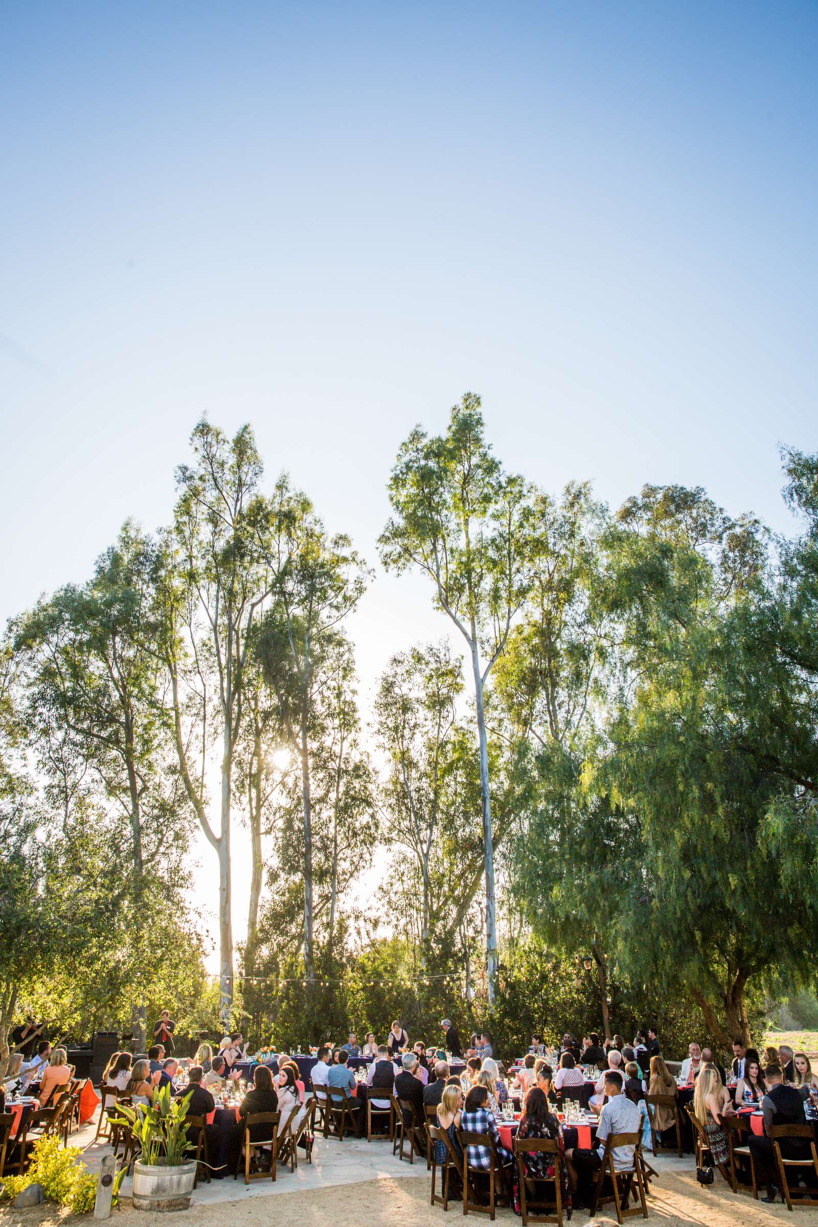 Leo Carrillo Ranch Wedding, MacKenzee and Efren Wedding Photo #89 by True Photography