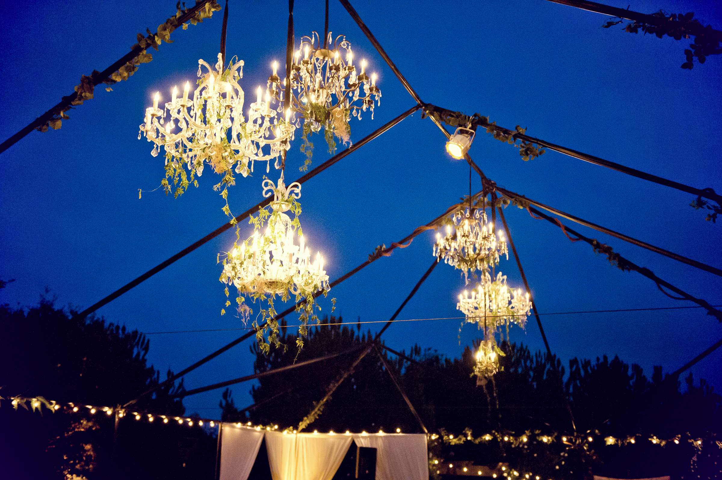 Shady Canyon Golf Club Wedding coordinated by Carter and Cook Event Co, Amanda and Trevor Wedding Photo #75 by True Photography