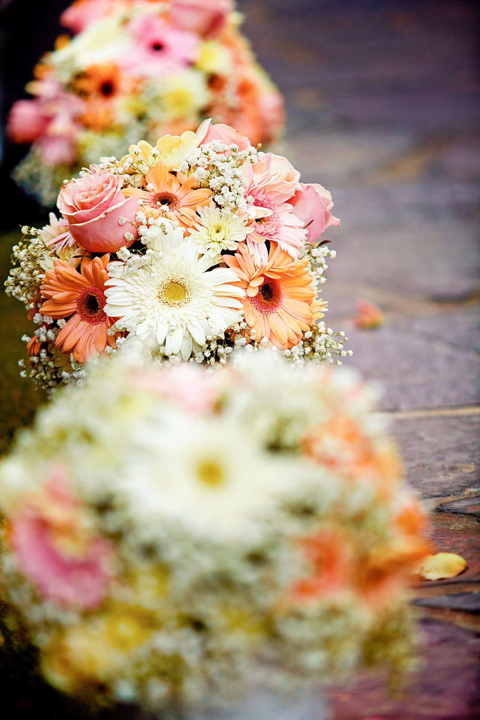 Pala Mesa Resort Wedding, Michelle_Brant Wedding Photo #217249 by True Photography