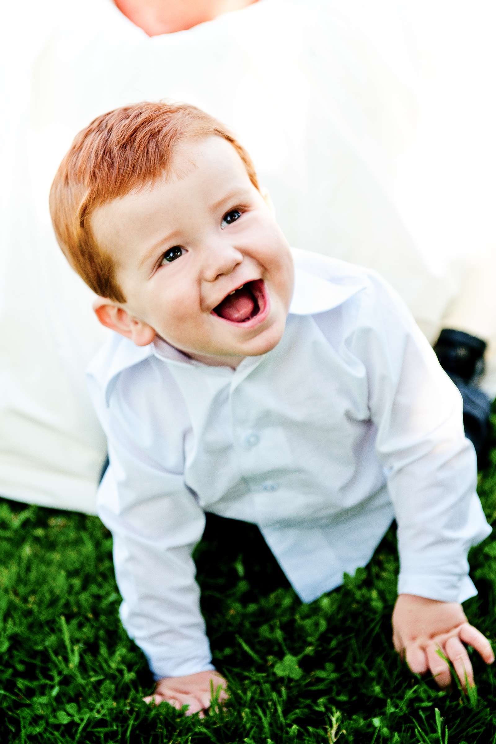 The Inn at Rancho Santa Fe Wedding, Natalie and Brian Wedding Photo #217309 by True Photography