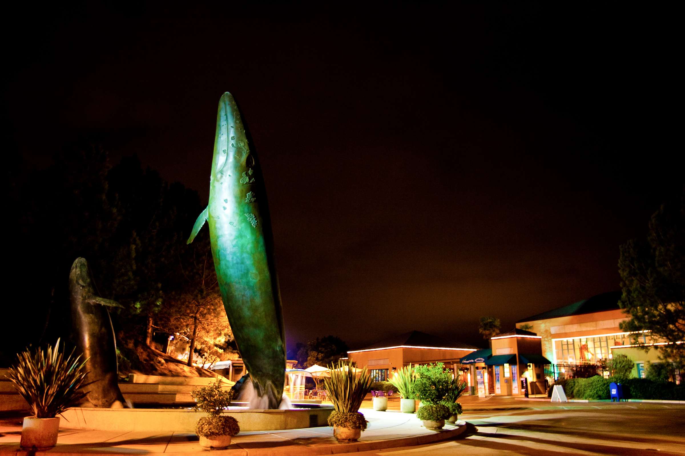 Birch Aquarium at Scripps Wedding coordinated by Bridal Bar, Jenny and Chris Wedding Photo #217515 by True Photography