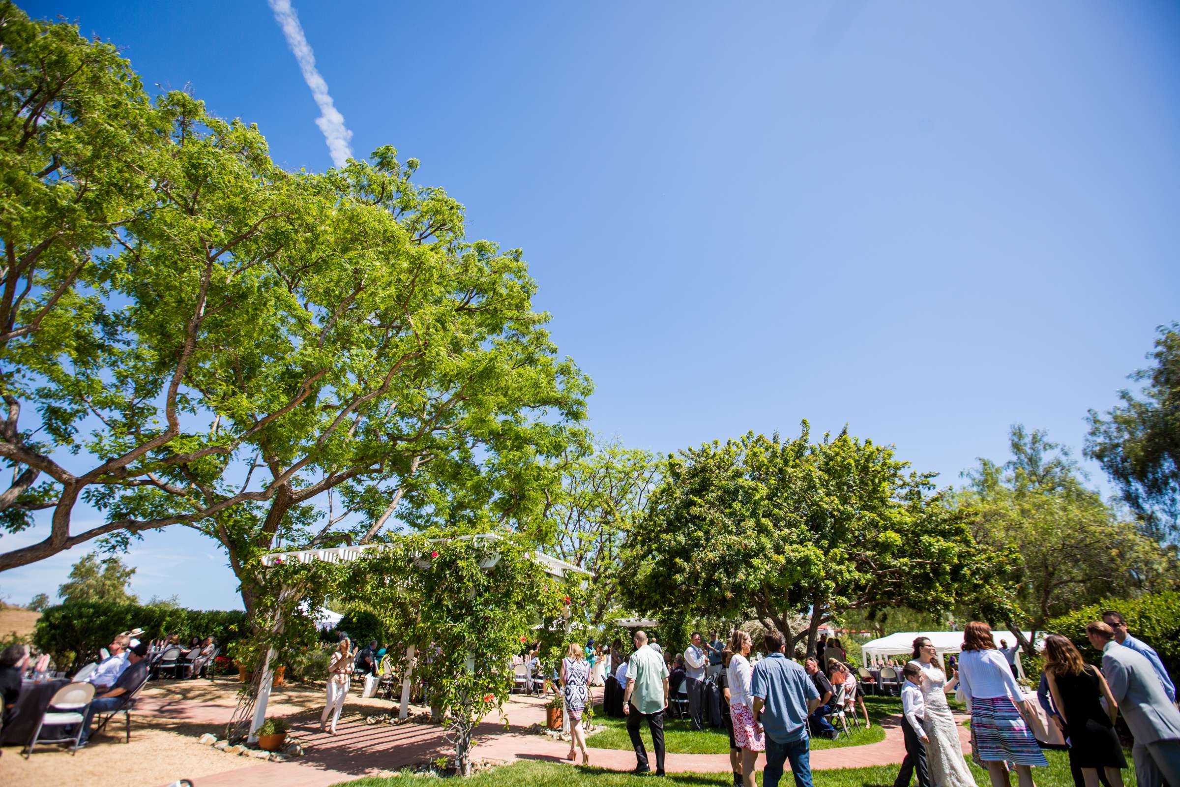 Rancho Guajome Adobe Wedding coordinated by Selina Rose Weddings & Events, Leticia and Anthony Wedding Photo #69 by True Photography