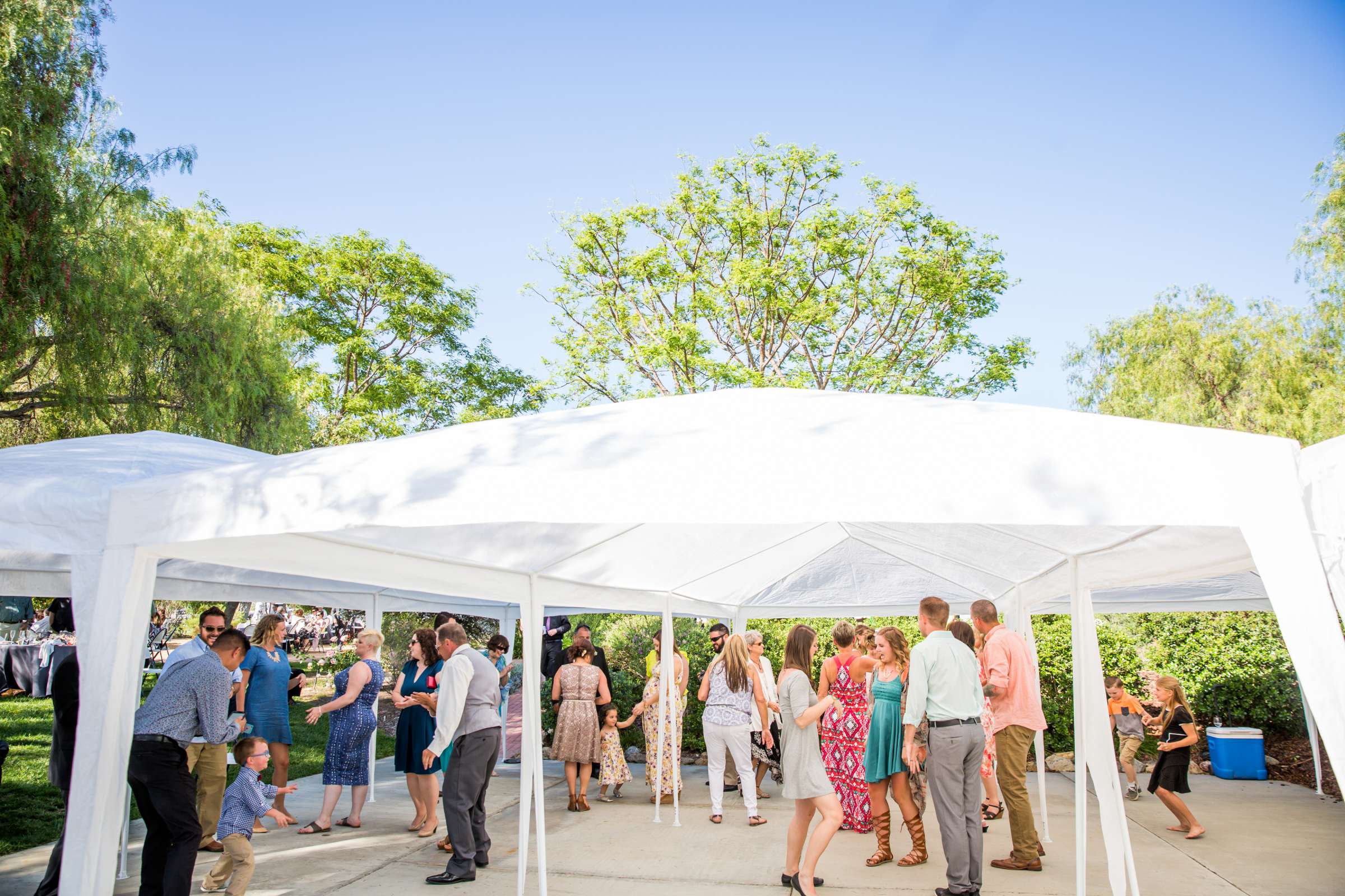 Rancho Guajome Adobe Wedding coordinated by Selina Rose Weddings & Events, Leticia and Anthony Wedding Photo #88 by True Photography