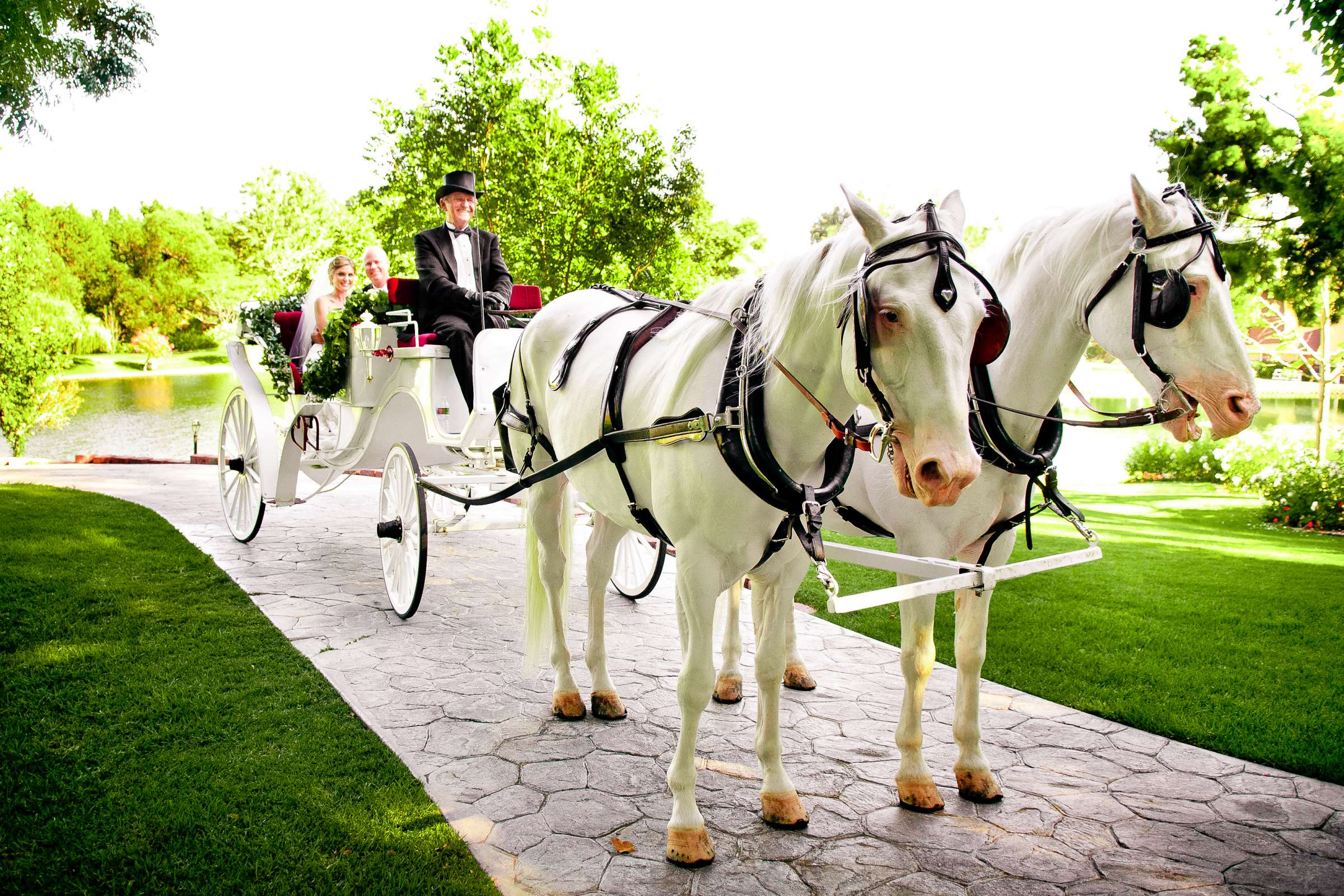 Grand Tradition Estate Wedding coordinated by Grand Tradition Estate, Breanna and Eric Wedding Photo #219053 by True Photography