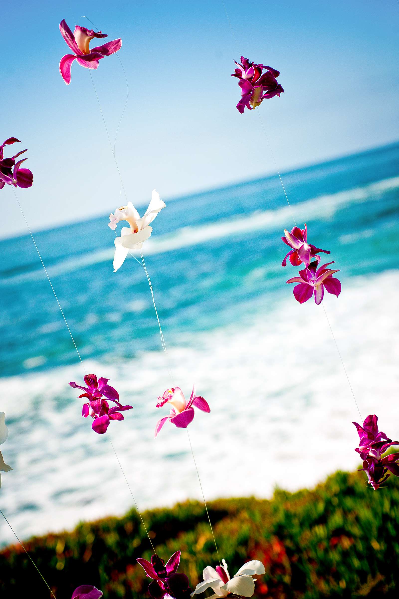 Mission Beach Woman's Club Wedding coordinated by EverAfter Events, Shannon and Rich Wedding Photo #219077 by True Photography