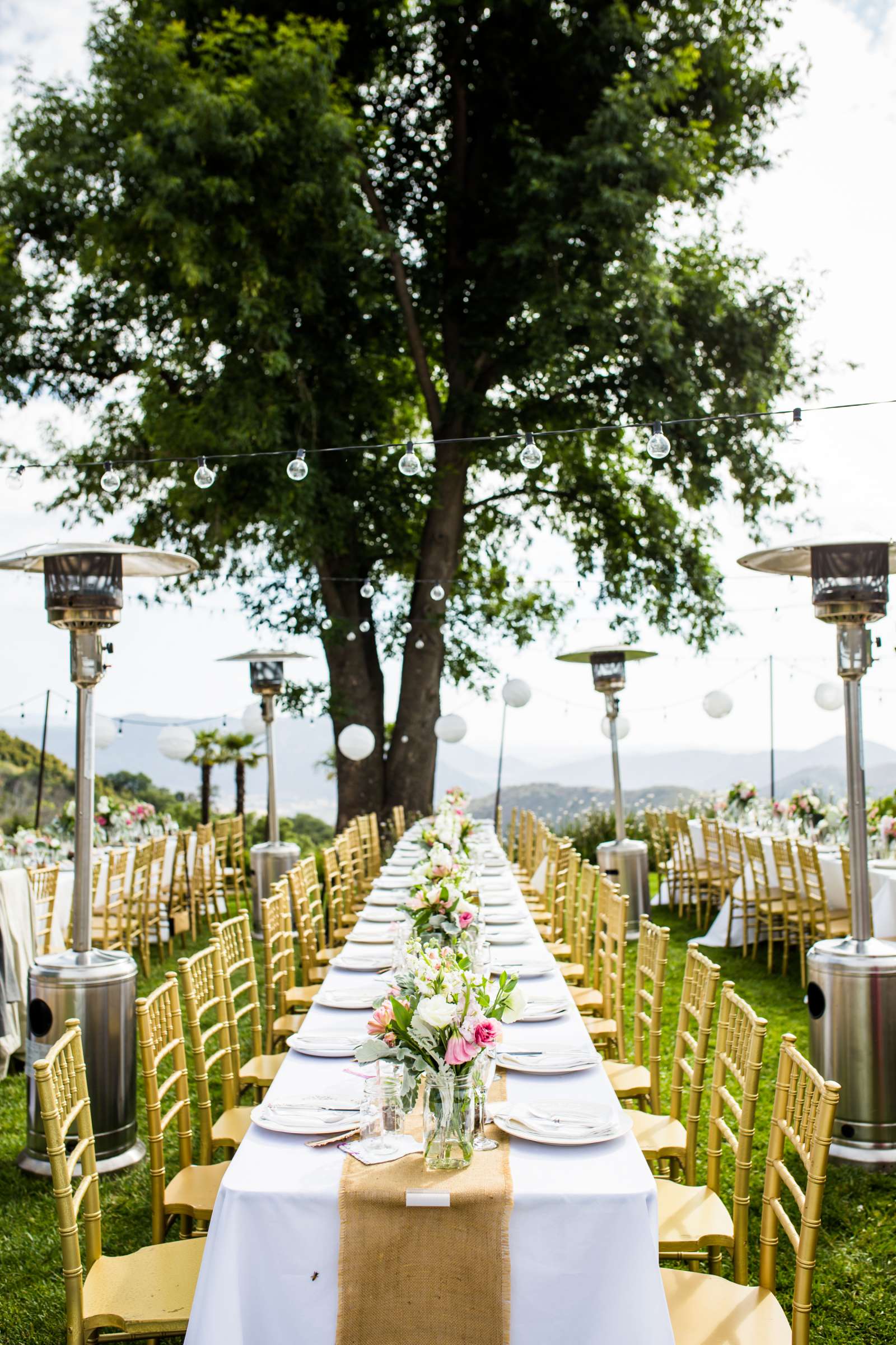 Condors Nest Ranch Wedding, Allison and Justin Wedding Photo #147 by True Photography