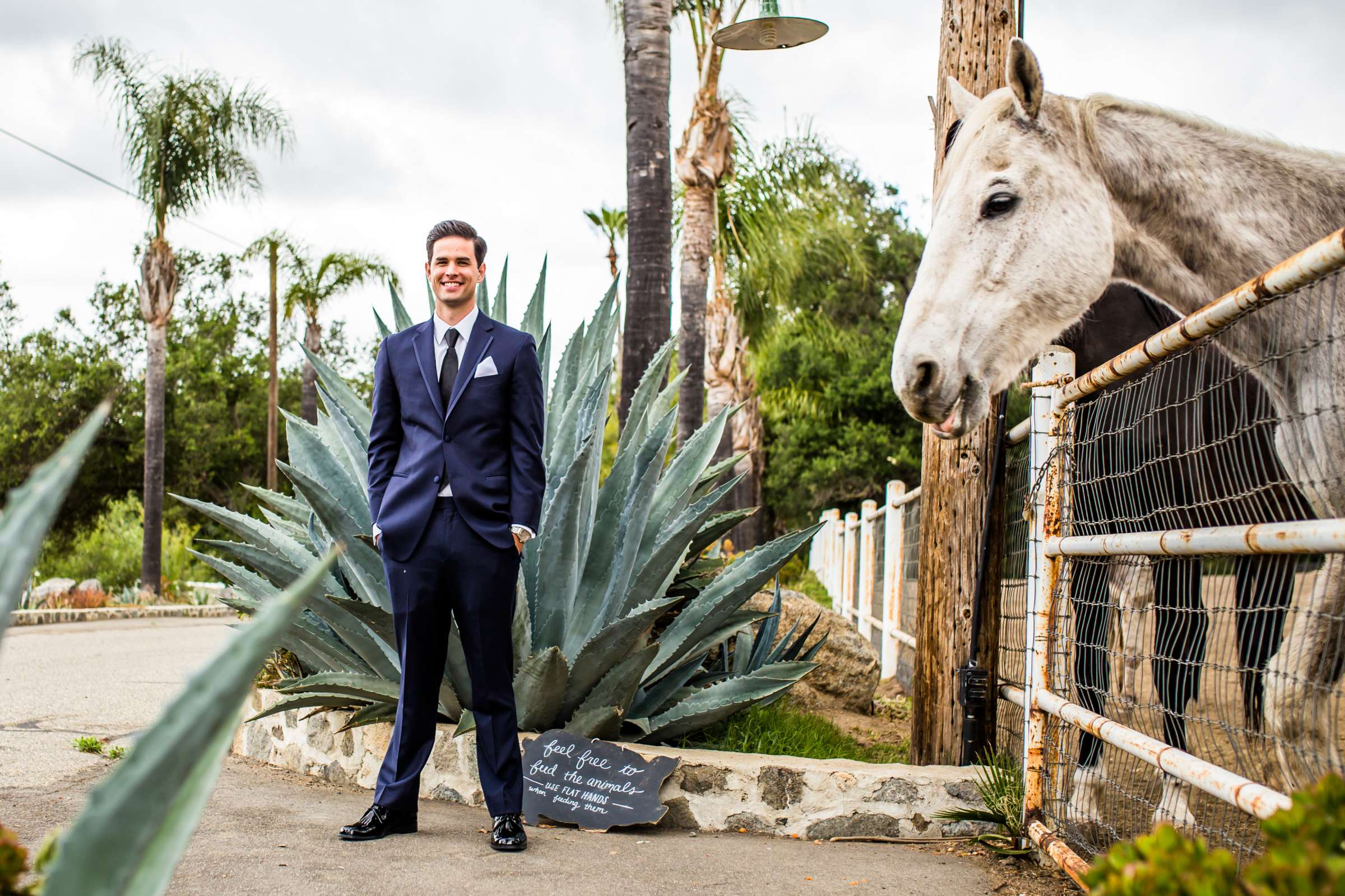 Condors Nest Ranch Wedding, Allison and Justin Wedding Photo #38 by True Photography