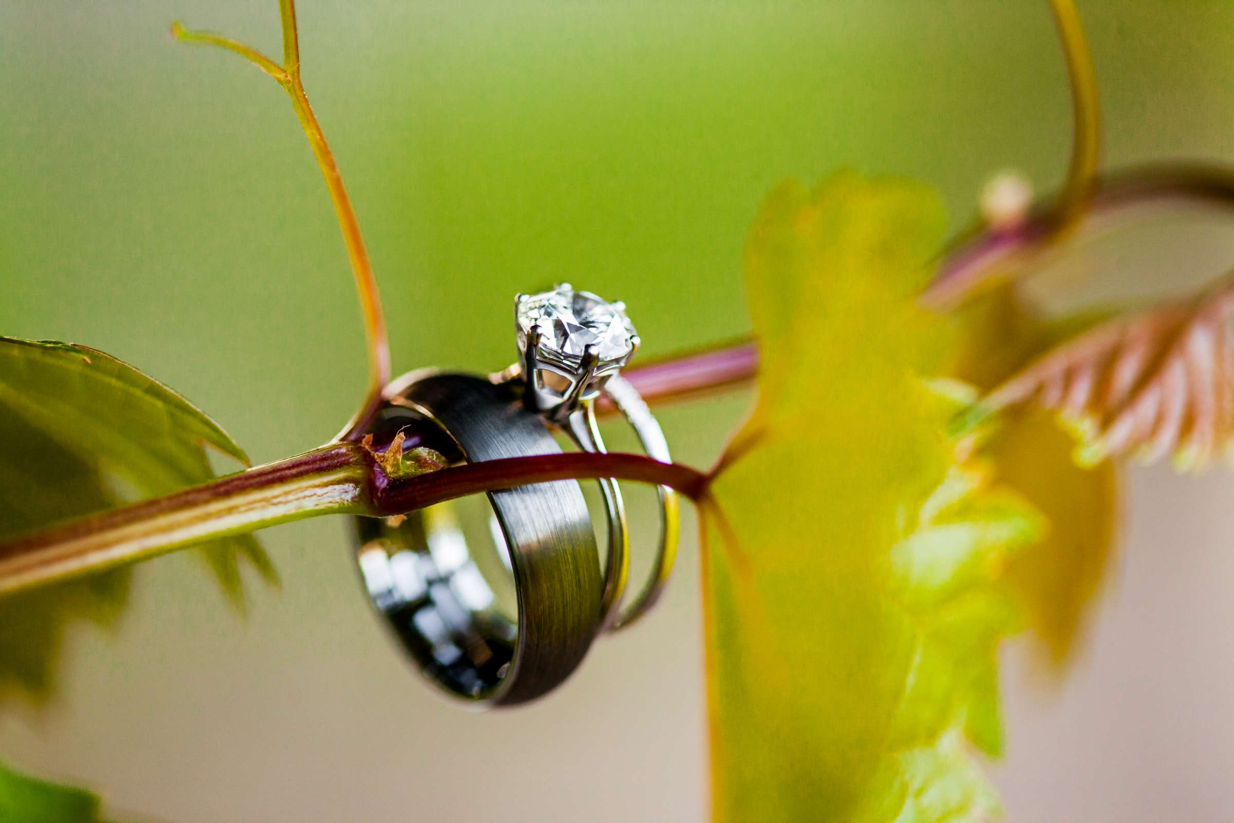 Orfila Vineyards Wedding, Brittany and Matt Wedding Photo #18 by True Photography