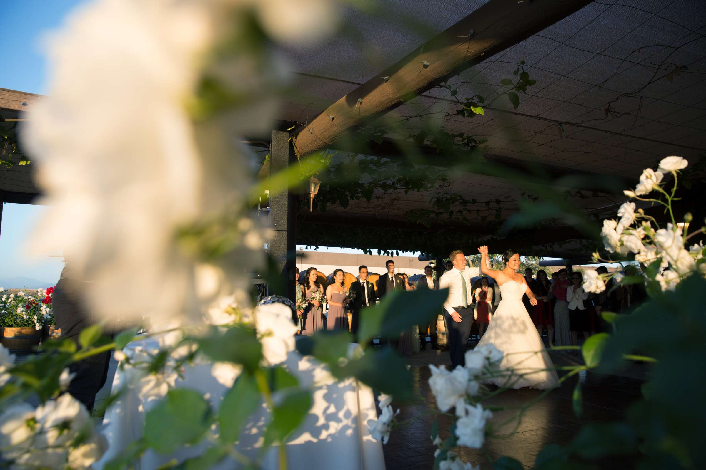 Callaway Vineyards & Winery Wedding coordinated by Hannah Smith Events, Victoria and Aaron Wedding Photo #120 by True Photography