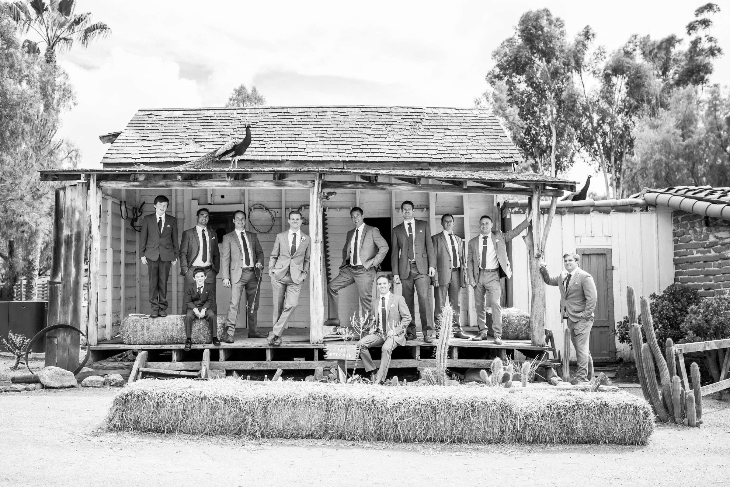 Leo Carrillo Ranch Wedding coordinated by Personal Touch Dining, Robin and Joshua Wedding Photo #11 by True Photography