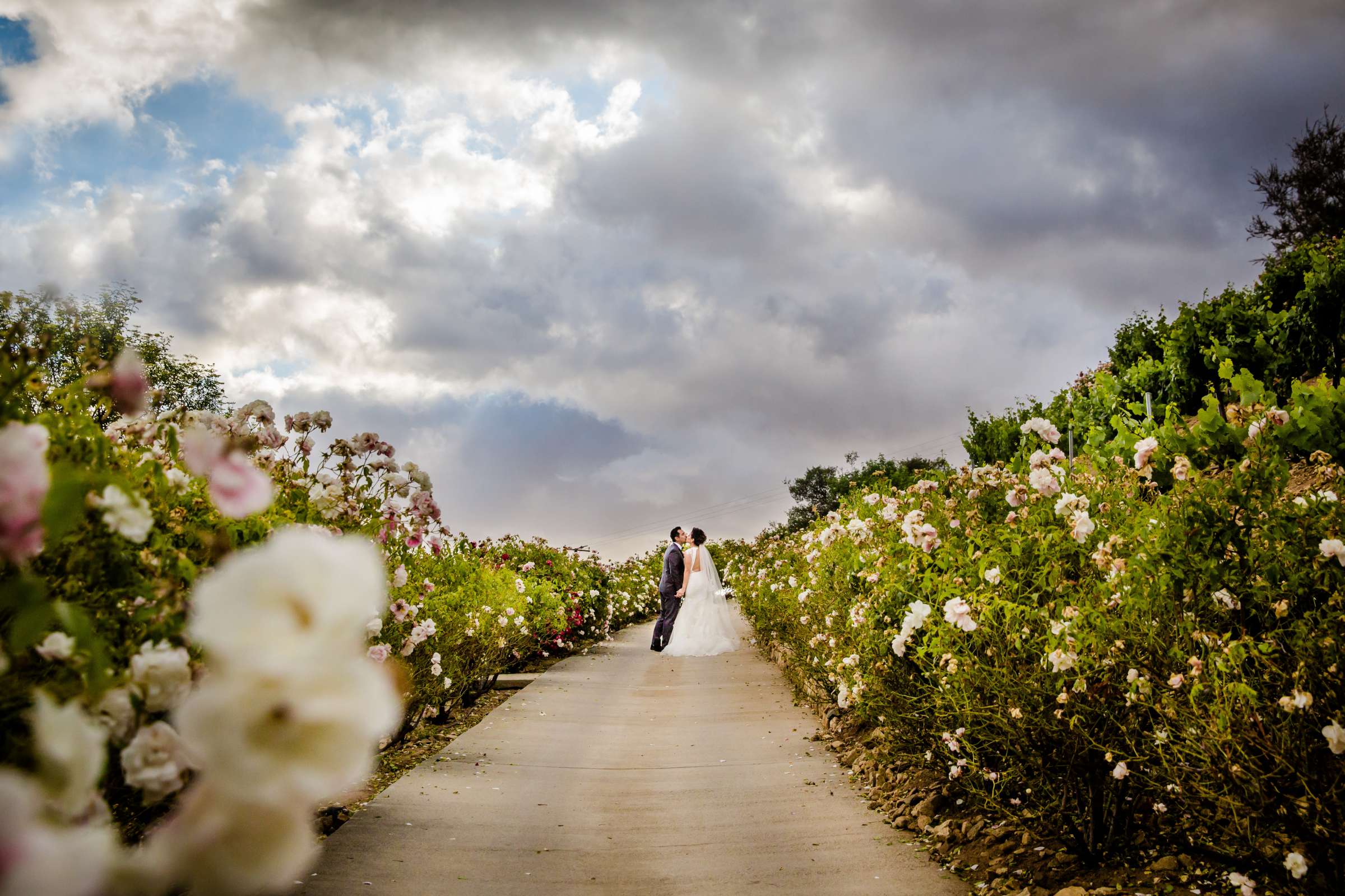 Garden, Bride and Groom at Serendipity Garden Weddings Wedding, Ruth and Freddie Wedding Photo #3 by True Photography