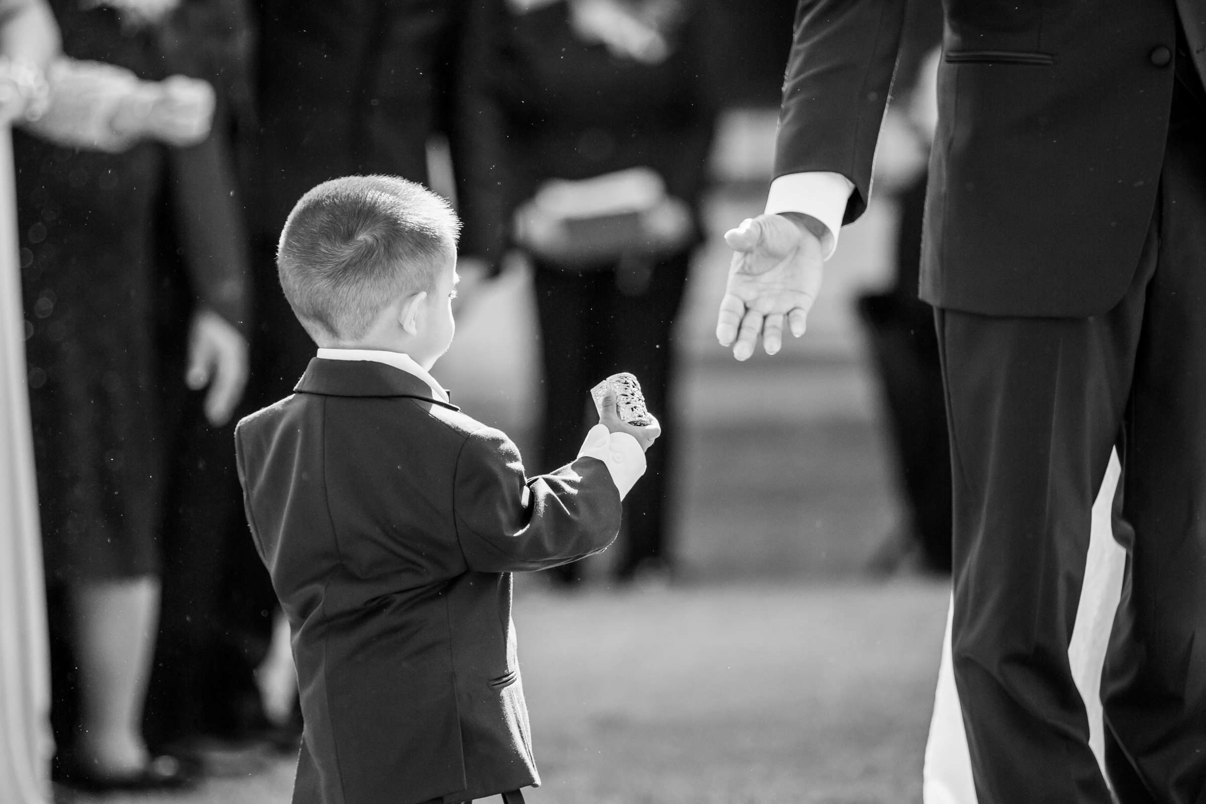 The Abbey Wedding, Eileen and Jason Wedding Photo #229171 by True Photography