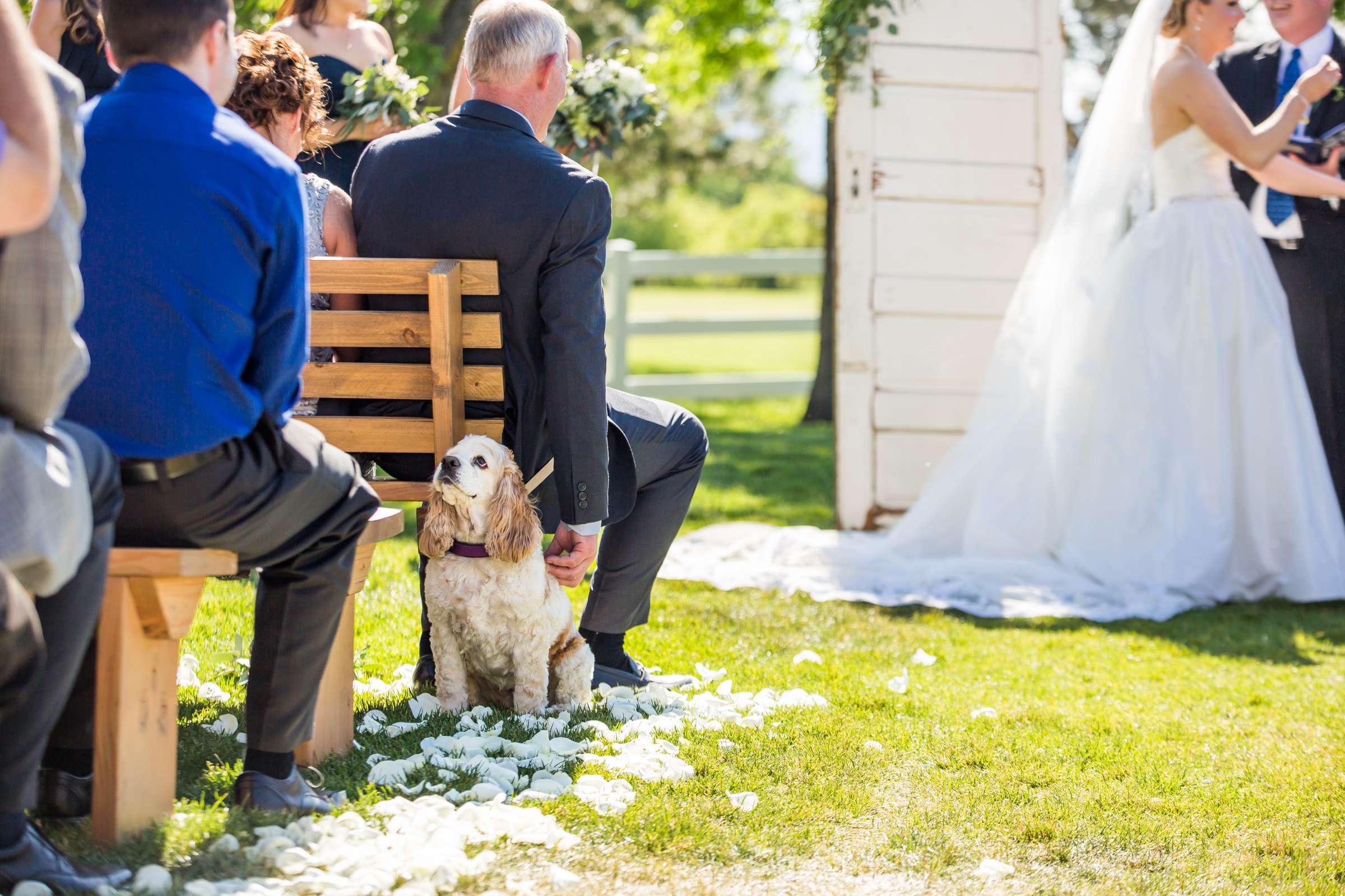 The Barn at Raccoon Creek Wedding coordinated by A Touch Of Bliss, Jennifer and Matt Wedding Photo #66 by True Photography