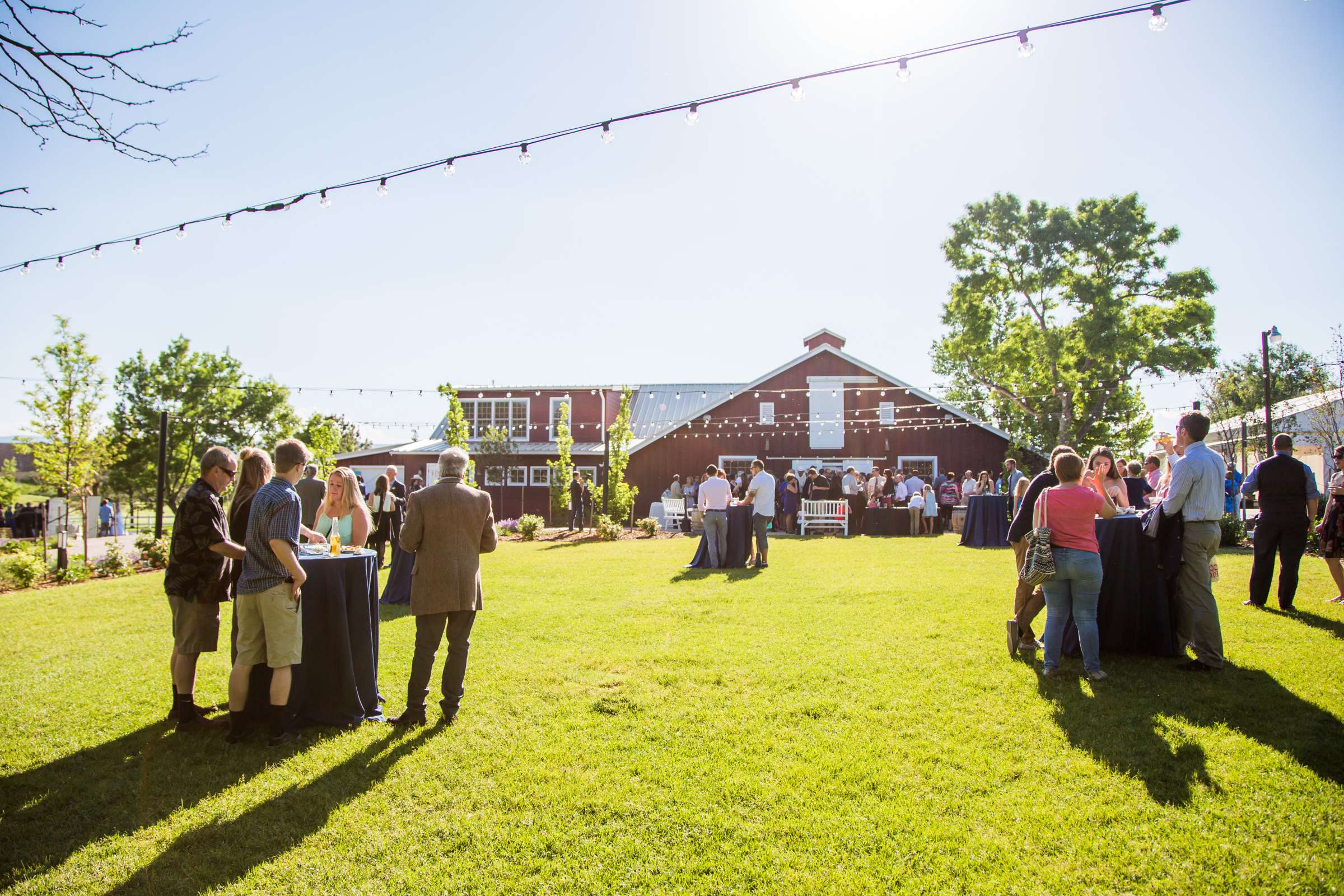 The Barn at Raccoon Creek Wedding coordinated by A Touch Of Bliss, Jennifer and Matt Wedding Photo #99 by True Photography