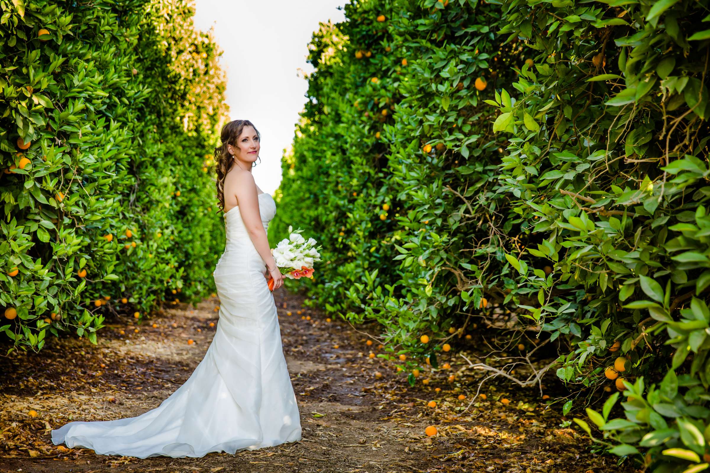 Lorimar Vineyards and Winery Wedding coordinated by Lorimar Vineyards and Winery, Amanda and Brandon Wedding Photo #4 by True Photography