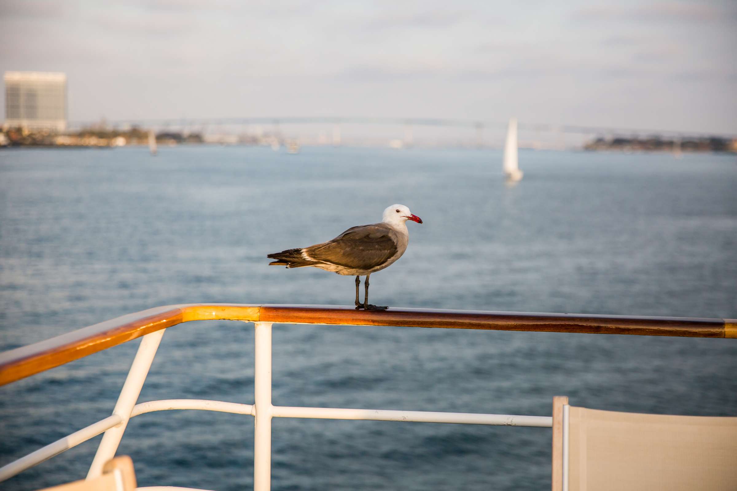 Flagship Cruises and Events Wedding coordinated by First Comes Love Weddings & Events, Kathleen and Adam Wedding Photo #66 by True Photography