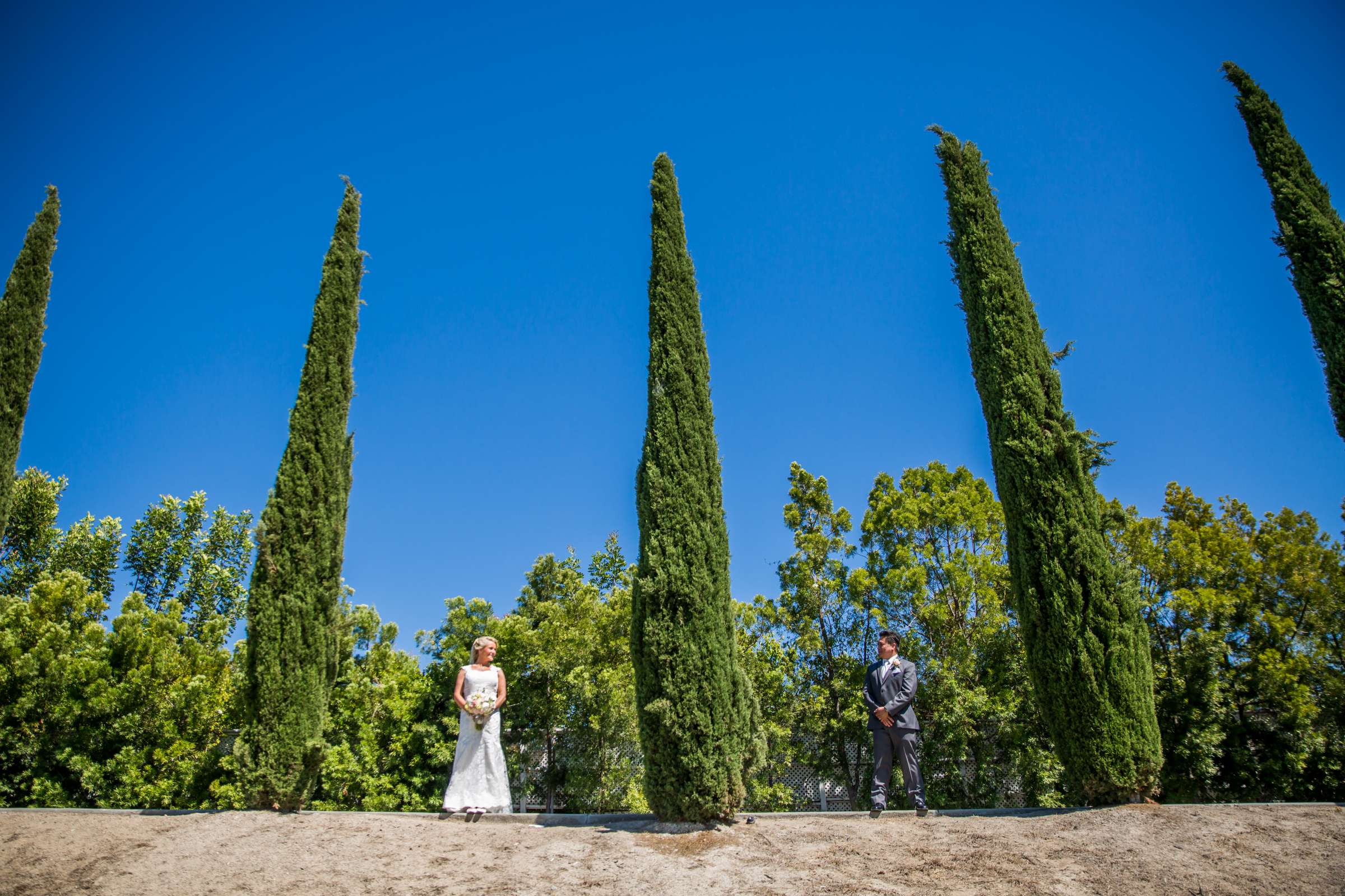 Wedding, Olivia and William Wedding Photo #242078 by True Photography