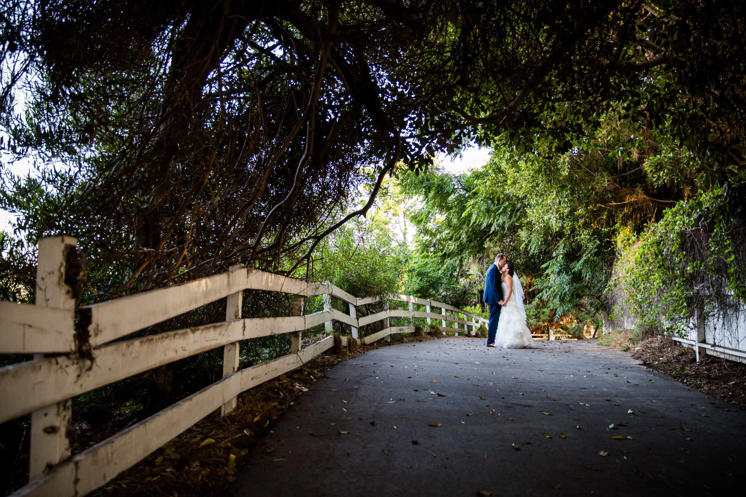 Green Gables Wedding Estate Wedding, Amanda and Paul Wedding Photo #103 by True Photography