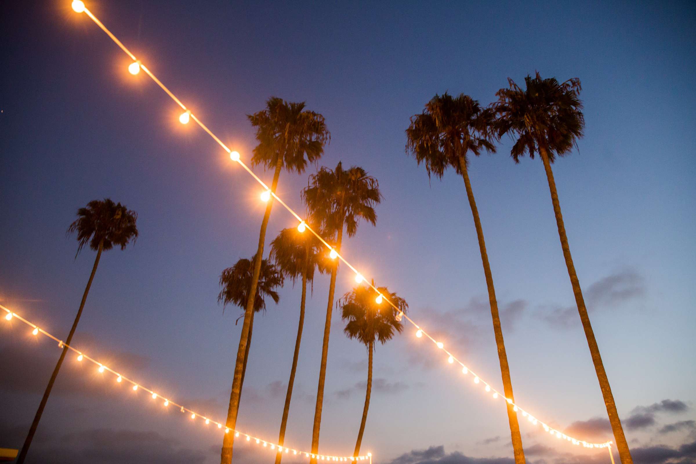 Scripps Seaside Forum Wedding, Jennifer and John Wedding Photo #245010 by True Photography