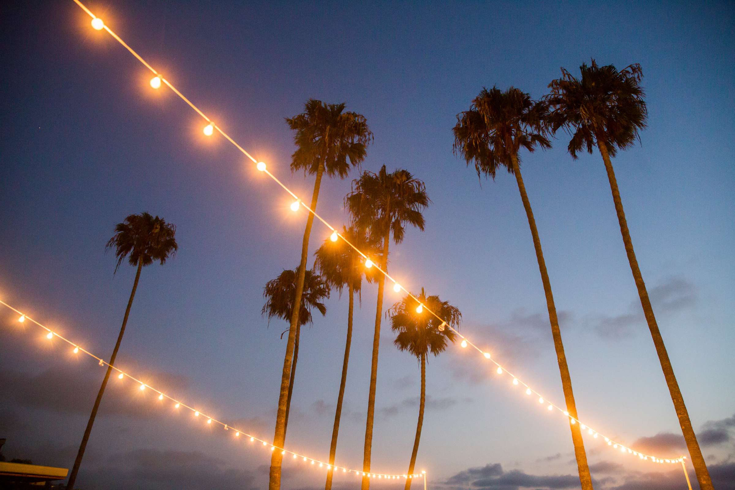 Scripps Seaside Forum Wedding, Jennifer and John Wedding Photo #245093 by True Photography