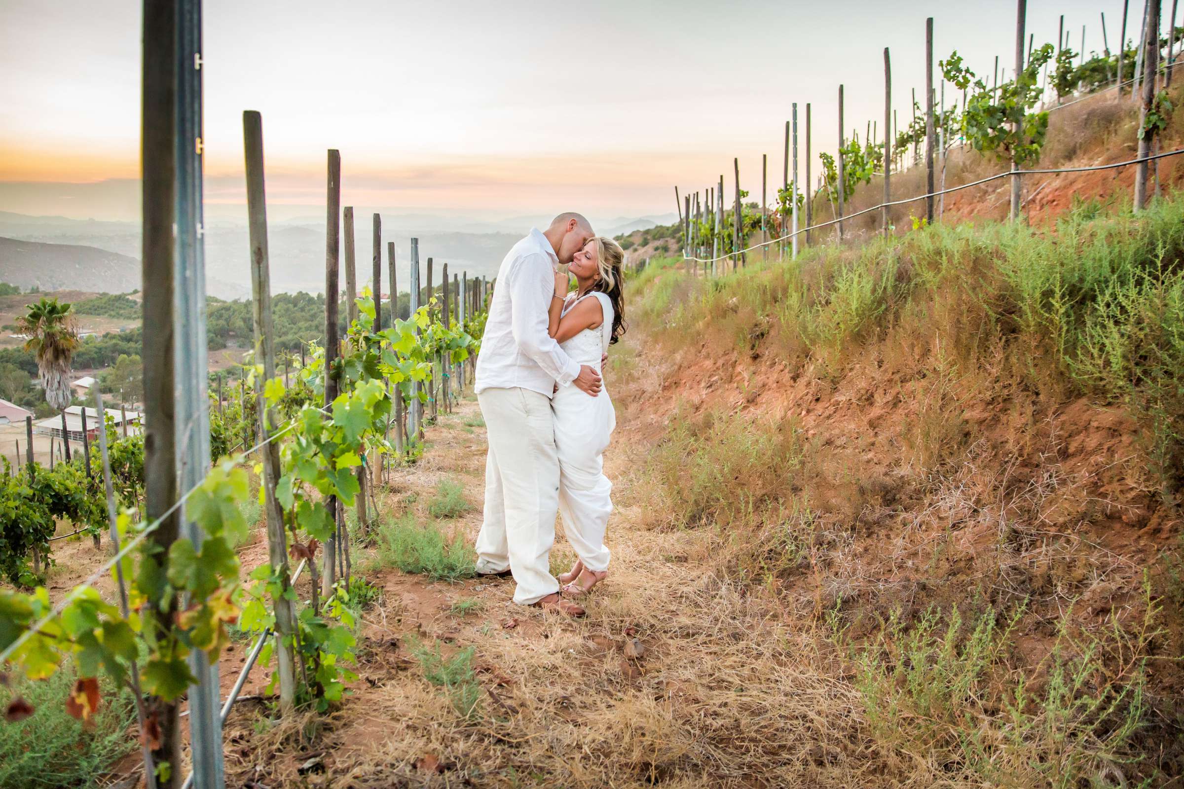 Cordiano Winery Wedding coordinated by Sisti & Co, Bethany and Mack Wedding Photo #245105 by True Photography