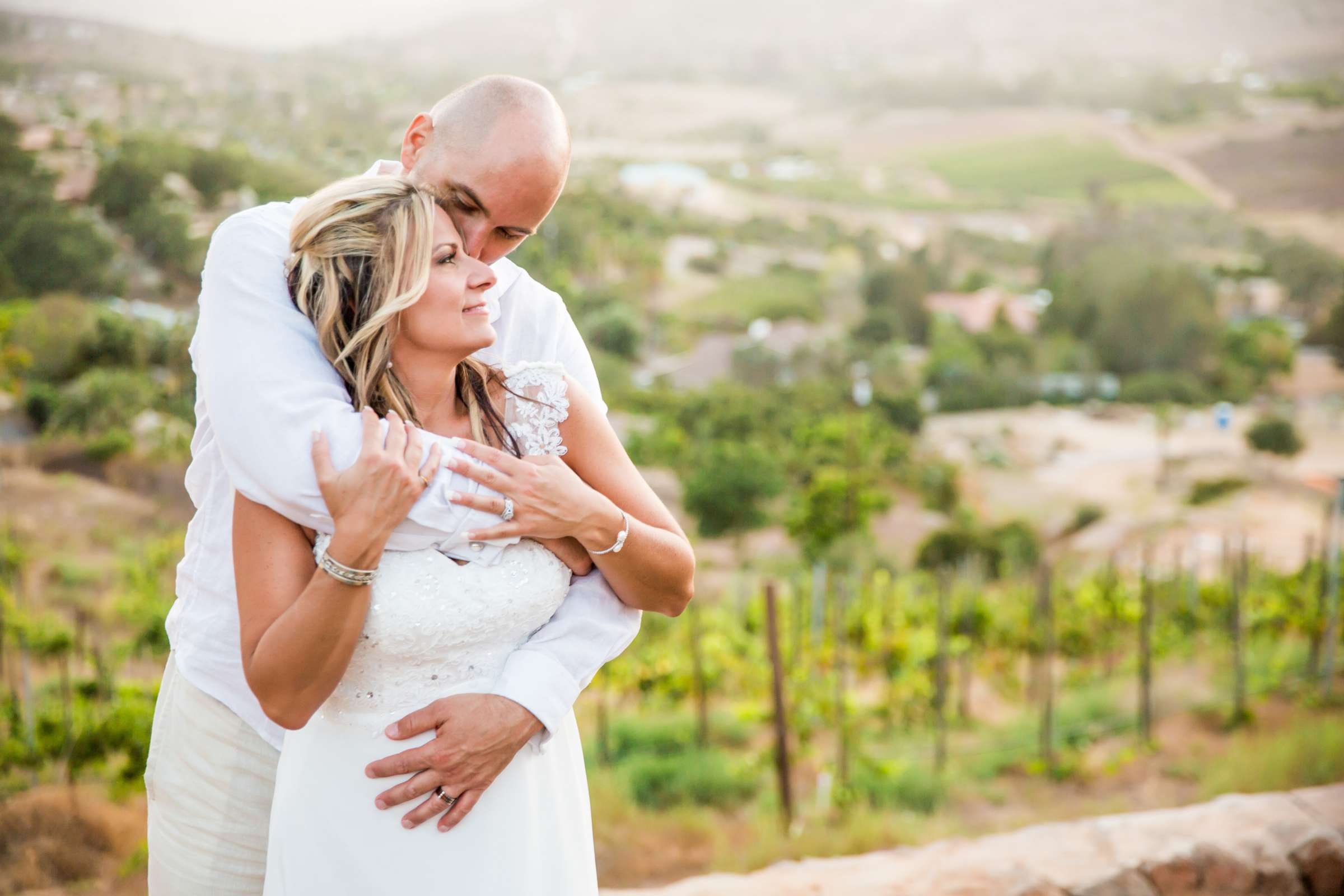 Cordiano Winery Wedding coordinated by Sisti & Co, Bethany and Mack Wedding Photo #245109 by True Photography