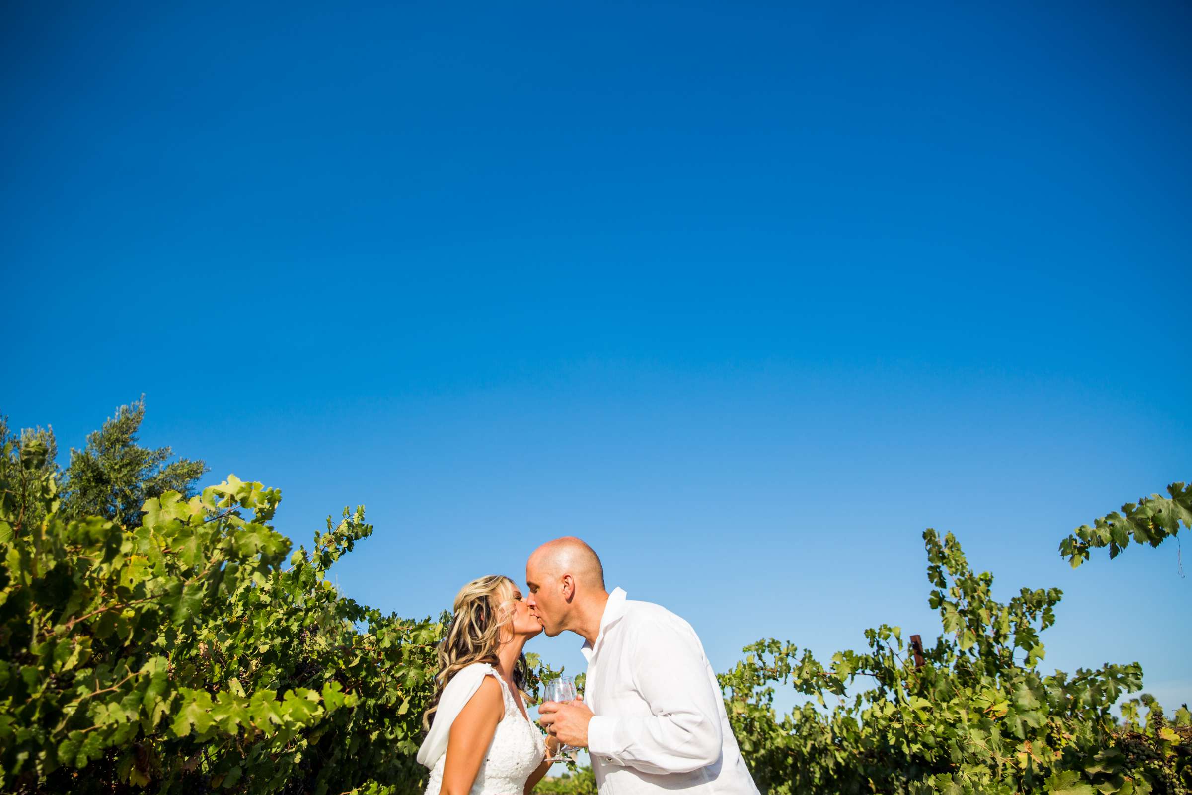 Cordiano Winery Wedding coordinated by Sisti & Co, Bethany and Mack Wedding Photo #245110 by True Photography