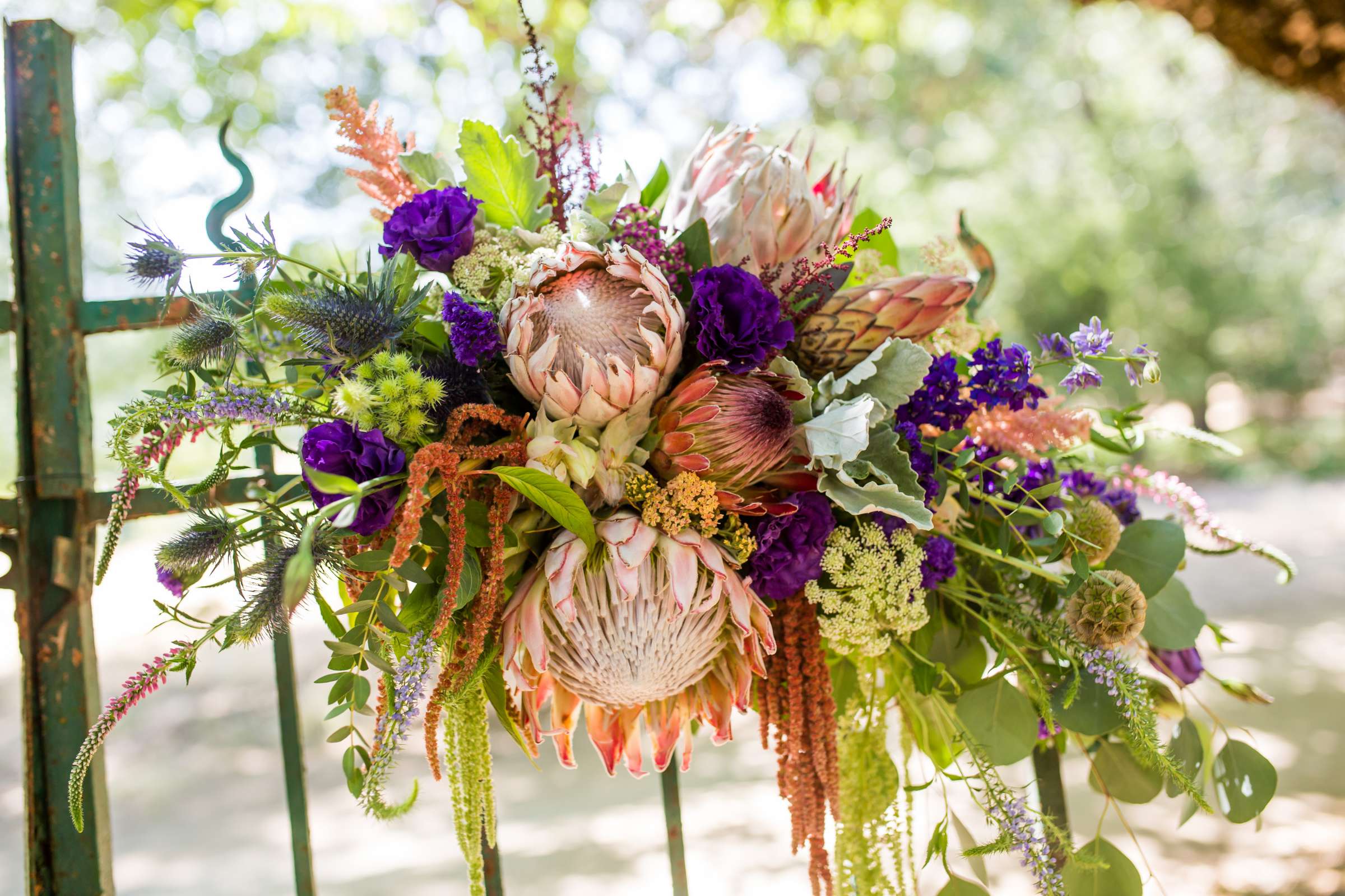 Bailey's Palomar Resort Wedding, Dalen and Dave Wedding Photo #245630 by True Photography