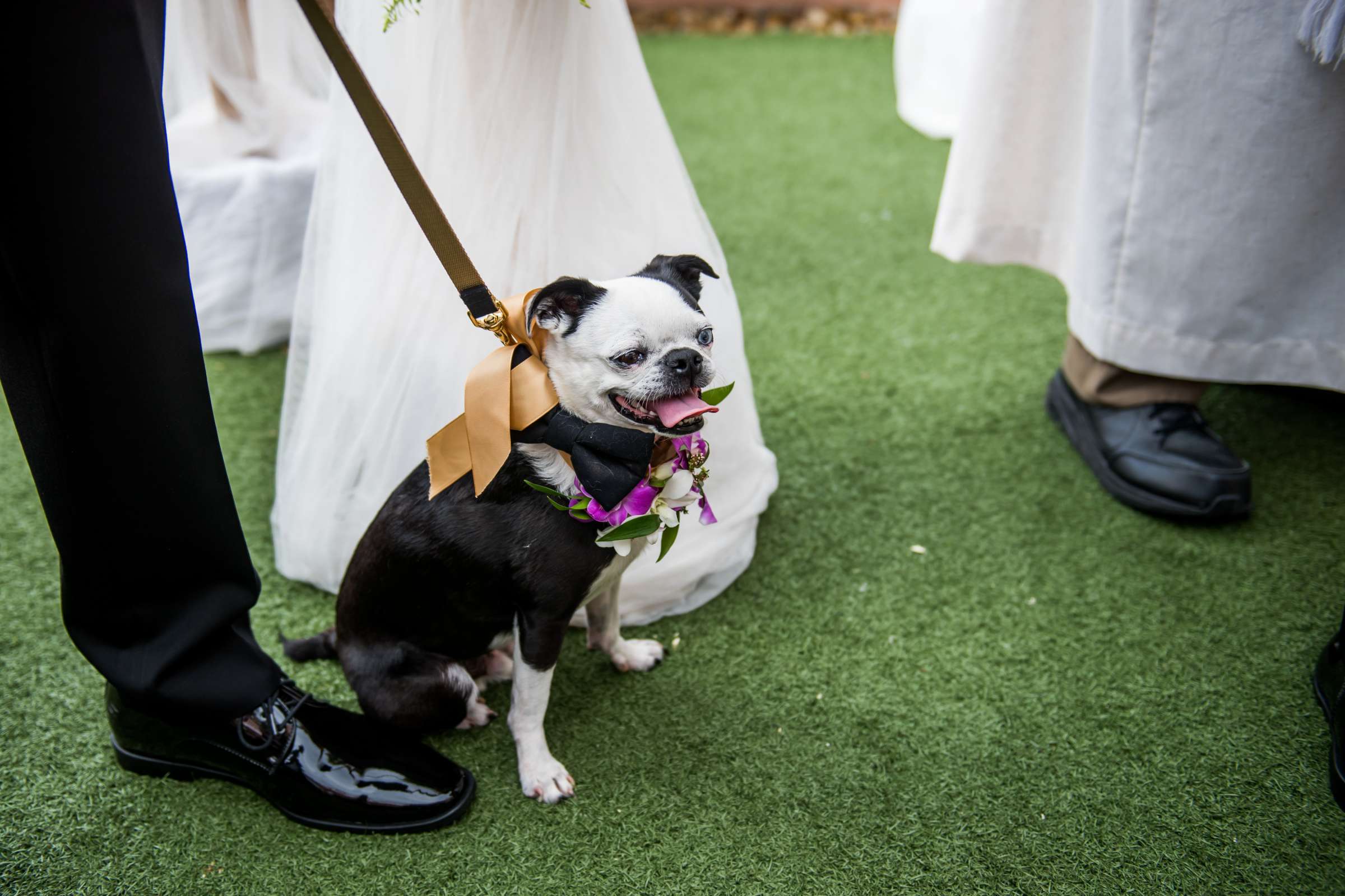 La Valencia Wedding, Kyndel and Landon Wedding Photo #67 by True Photography