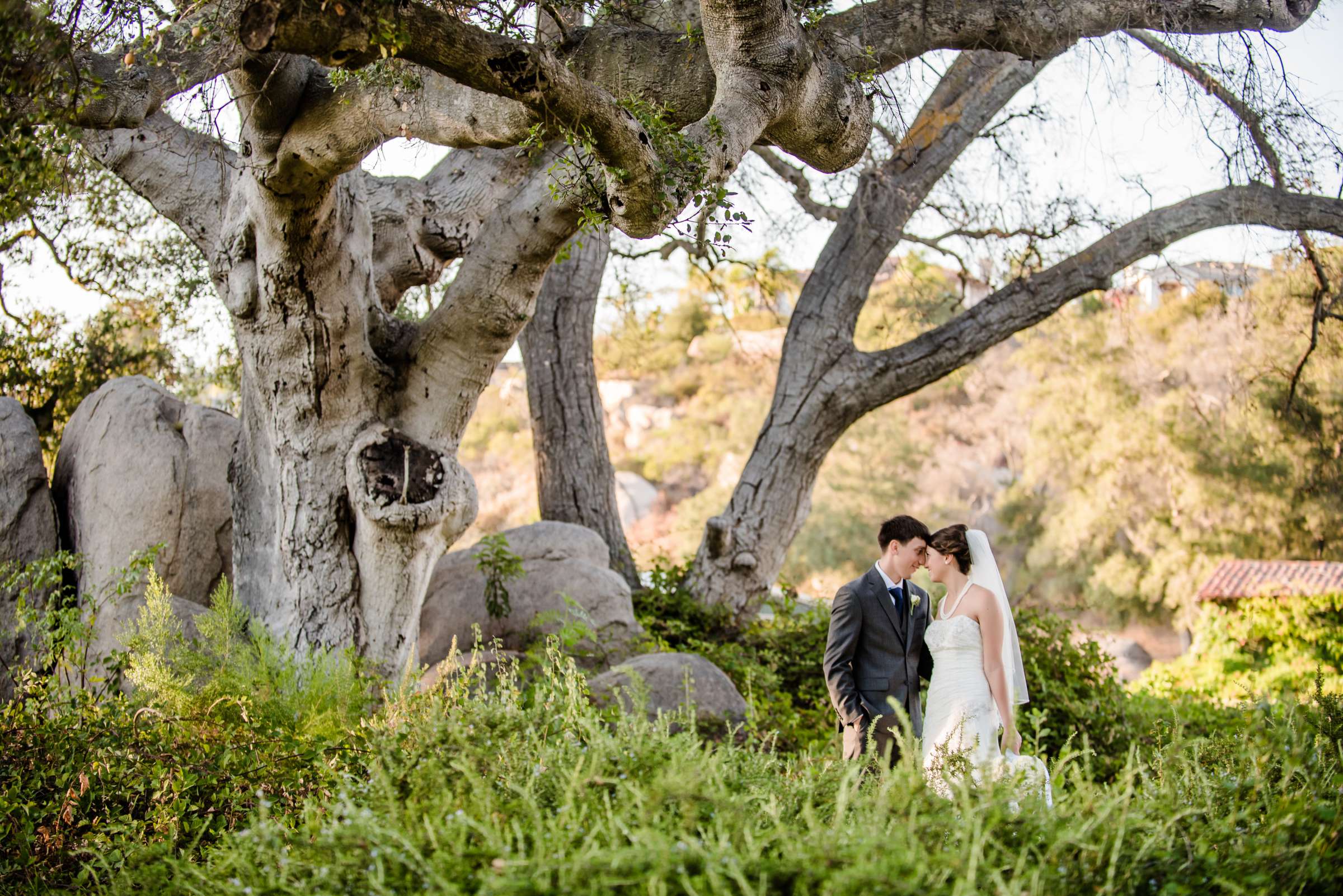 Mt Woodson Castle Wedding coordinated by Personal Touch Dining, Nicole and Isaiah Wedding Photo #254606 by True Photography