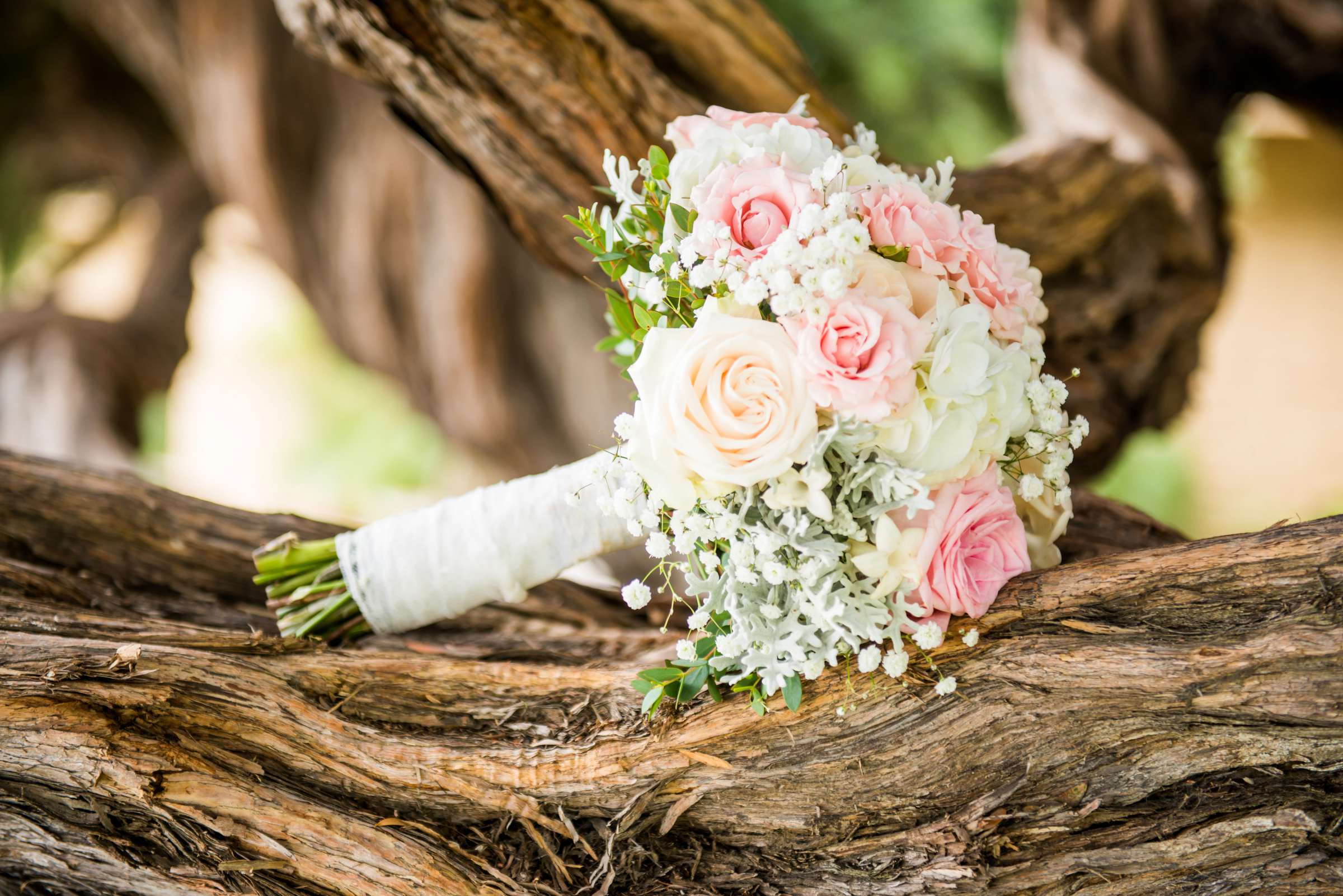 Bahia Hotel Wedding coordinated by Ladies on Palace, Tanya and Aj Wedding Photo #255208 by True Photography