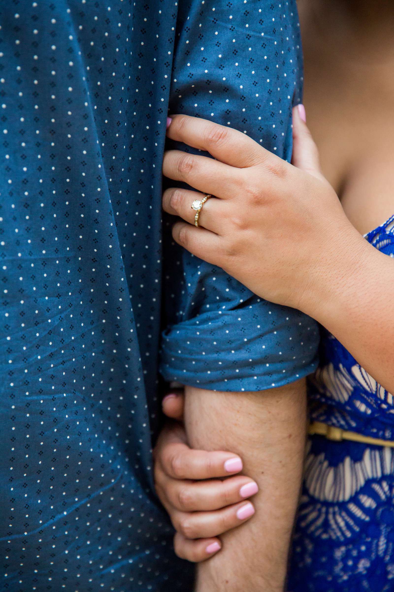 Engagement, Pearo and Gary Engagement Photo #261484 by True Photography