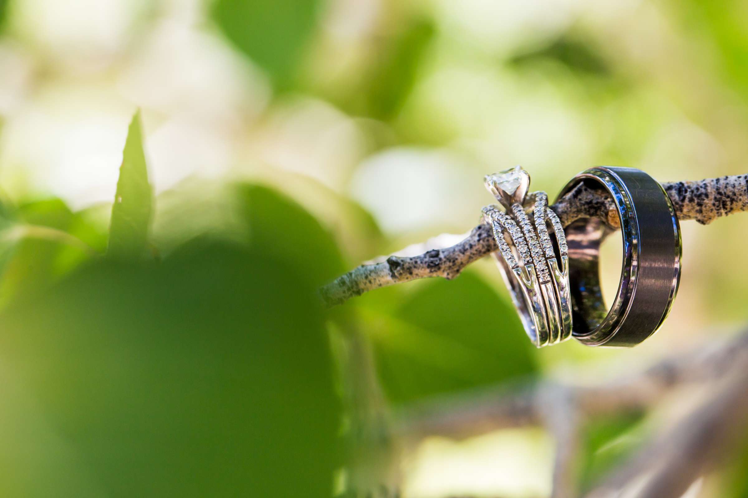 Wild Basin Lodge Wedding, Mary-Ashtin and Brian Wedding Photo #262905 by True Photography