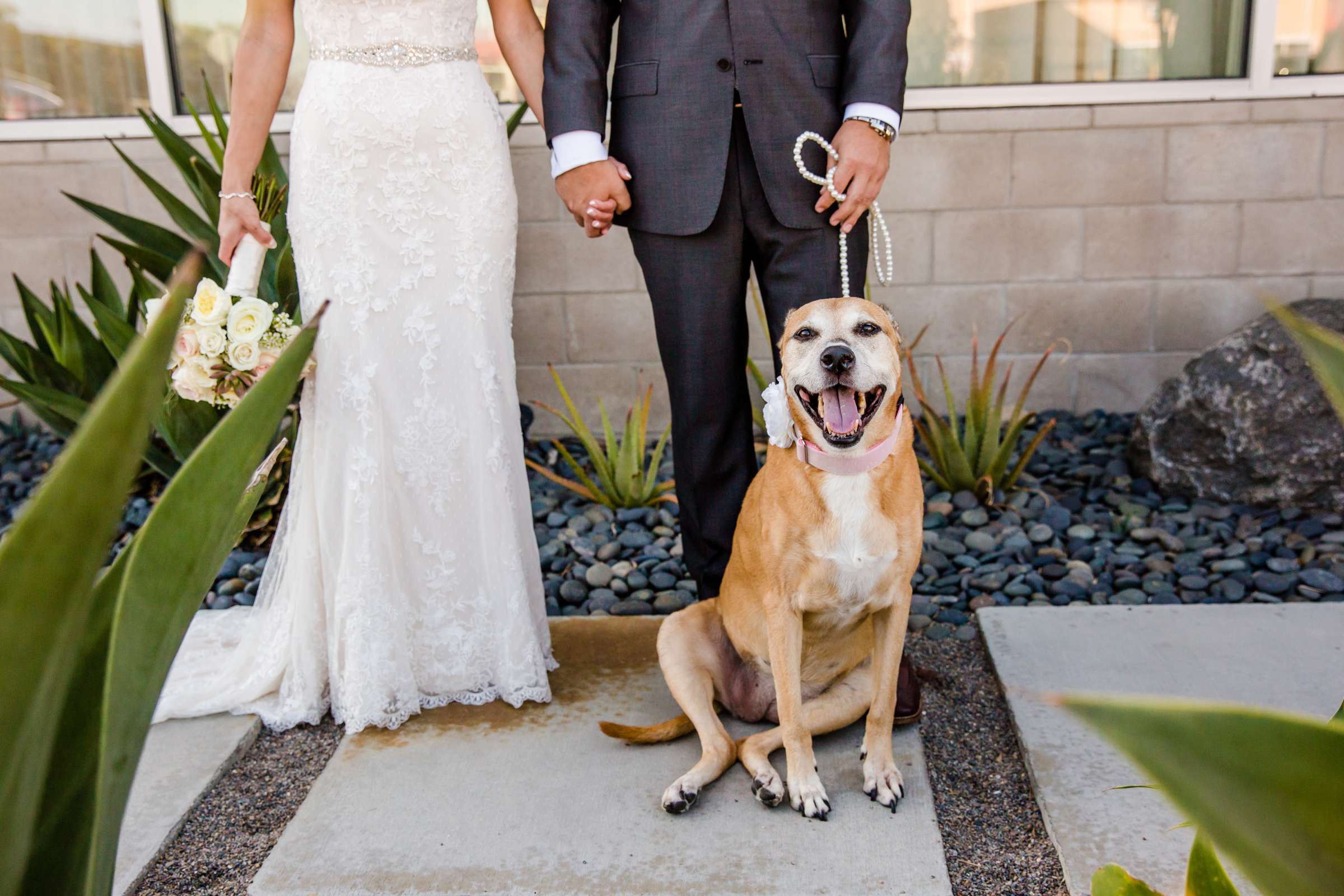 The Pearl Hotel Wedding, Amber and Fred Wedding Photo #263190 by True Photography